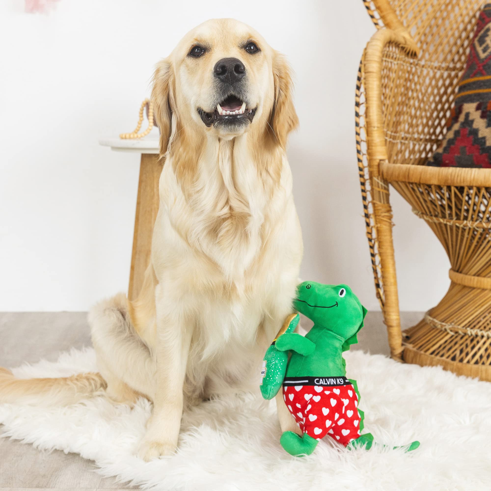 Fringe Studio Plush Dog Toy, Bachelor Rex, Petshop Collection (314109)