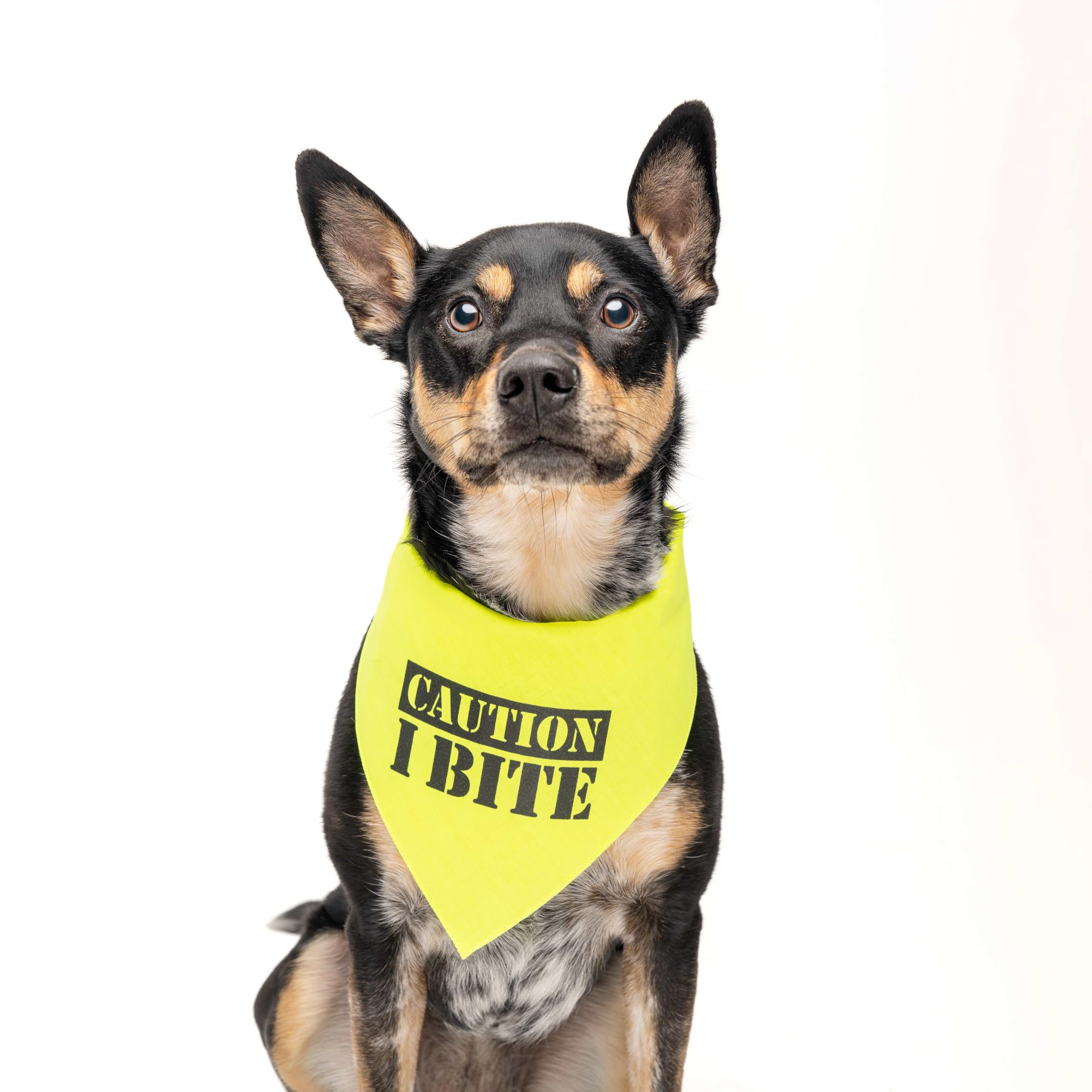 Caution I Bite Dog Bandana (Yellow, Os 836)