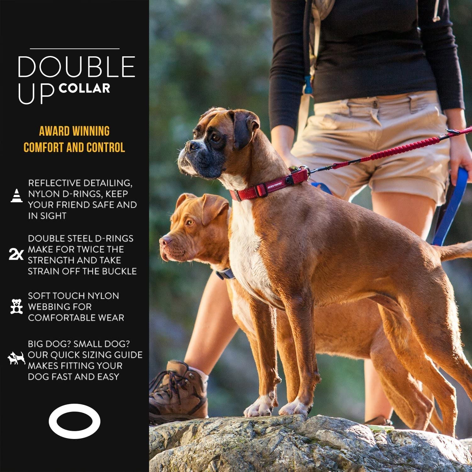Ezydog Double Up Premium Nylon Dog Collar With Reflective Stitching - Double D-Rings For Superior Strength, Safety, And Comfortability - Non-Rusting And Includes An Id Attachment (Large, Blue)
