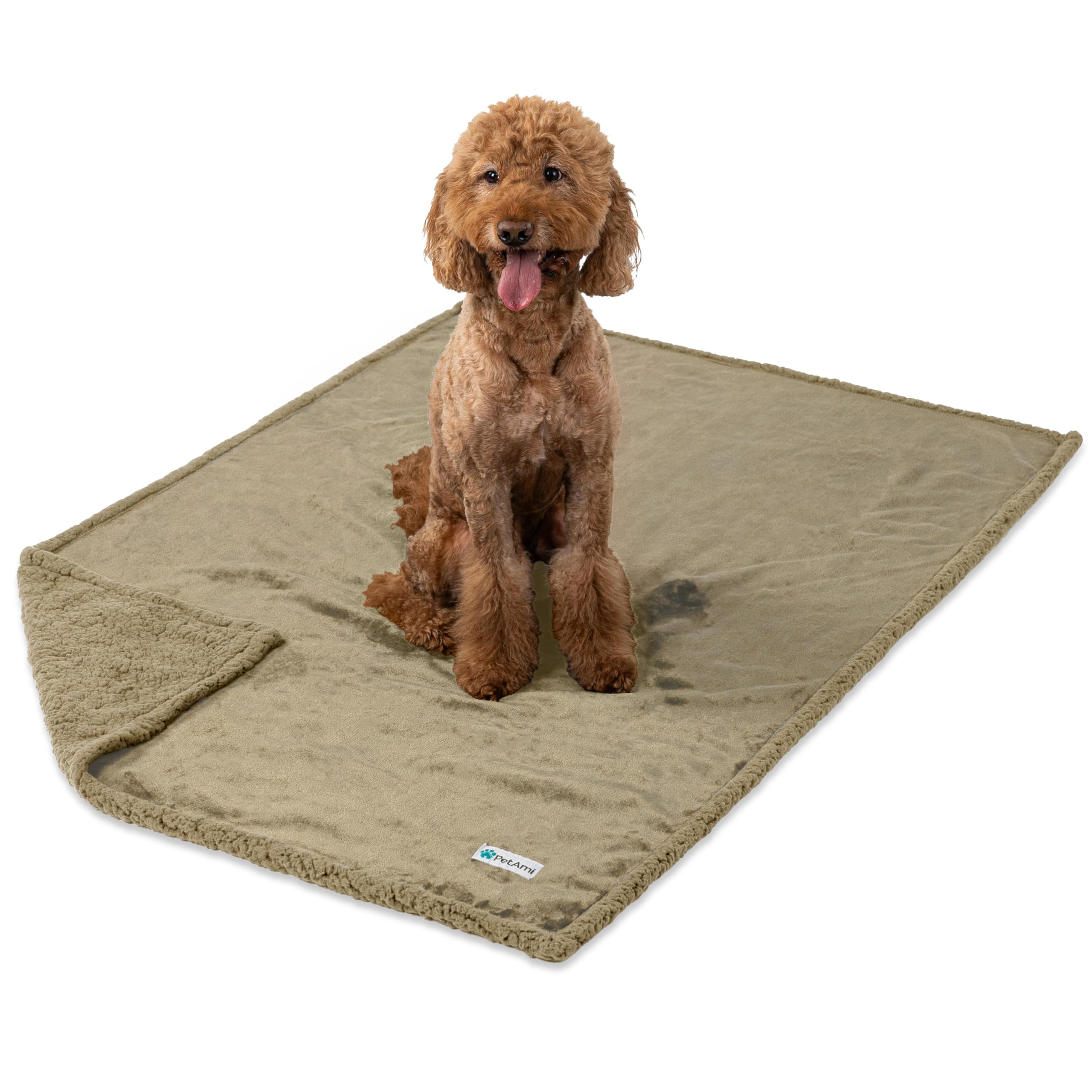 Petami Waterproof Dog Blanket For Medium Large Dog, Pet Puppy Blanket Couch Cover Protection, Sherpa Fleece Cat Blanket, Sofa Bed Furniture Protector Reversible Soft Plush Washable, 60X40 Taupe Taupe