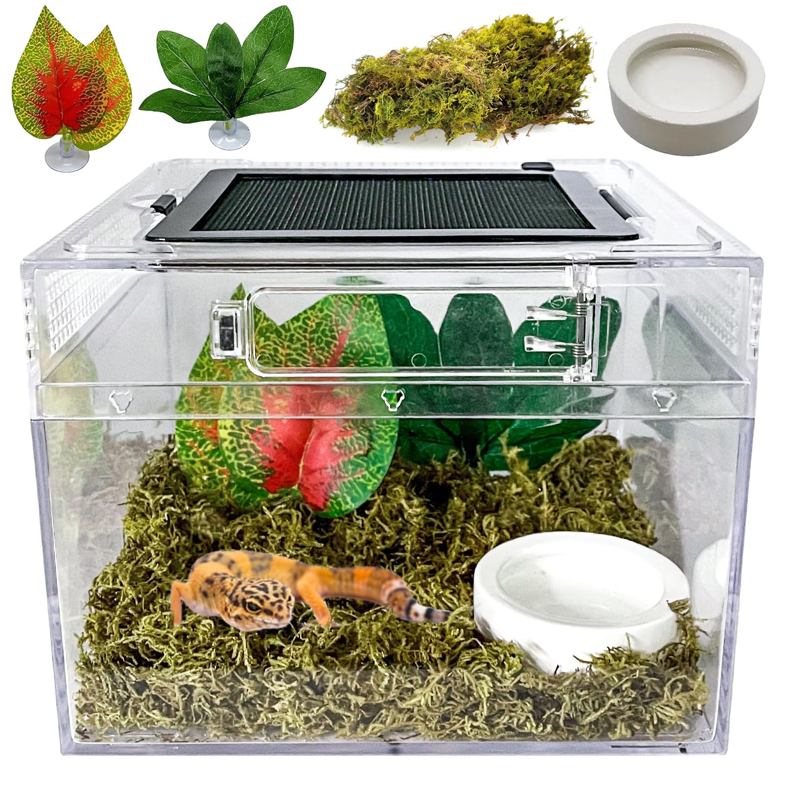 Acsist Reptile Terrarium, Jumping Spider Enclosure Starter Kit, Leopard Gecko Habitat Container, 8''X8''X7''Reptile Tank For Tar