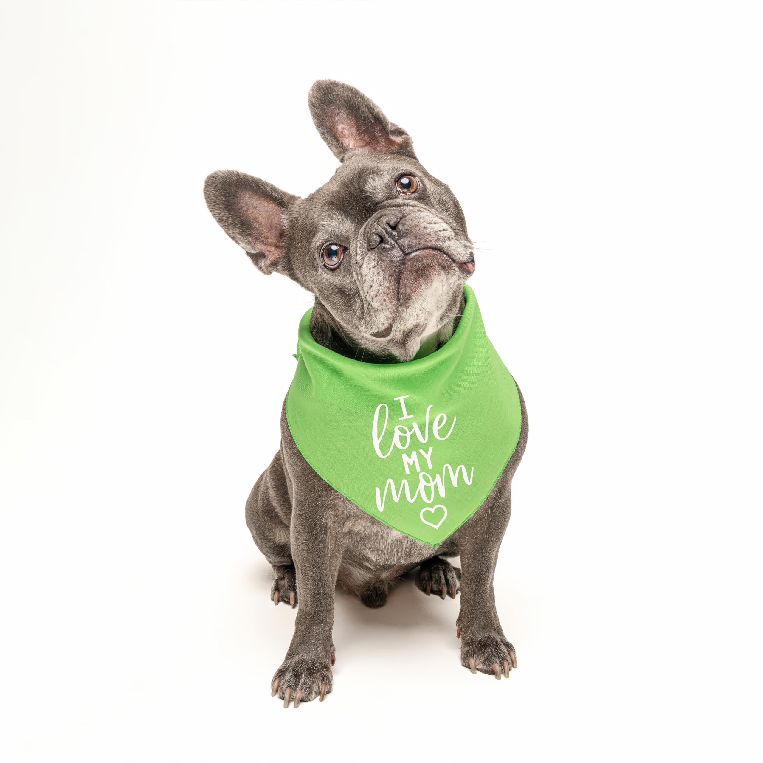 I Love My Mom Dog Bandana (Green, Xs 177)