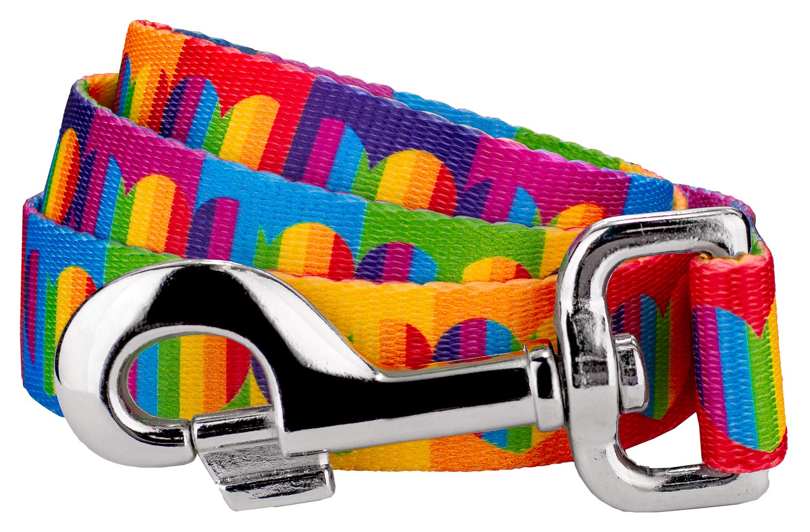 Country Brook Petz - 1 Inch Rainbow Hearts Dog Leash - 4 Foot