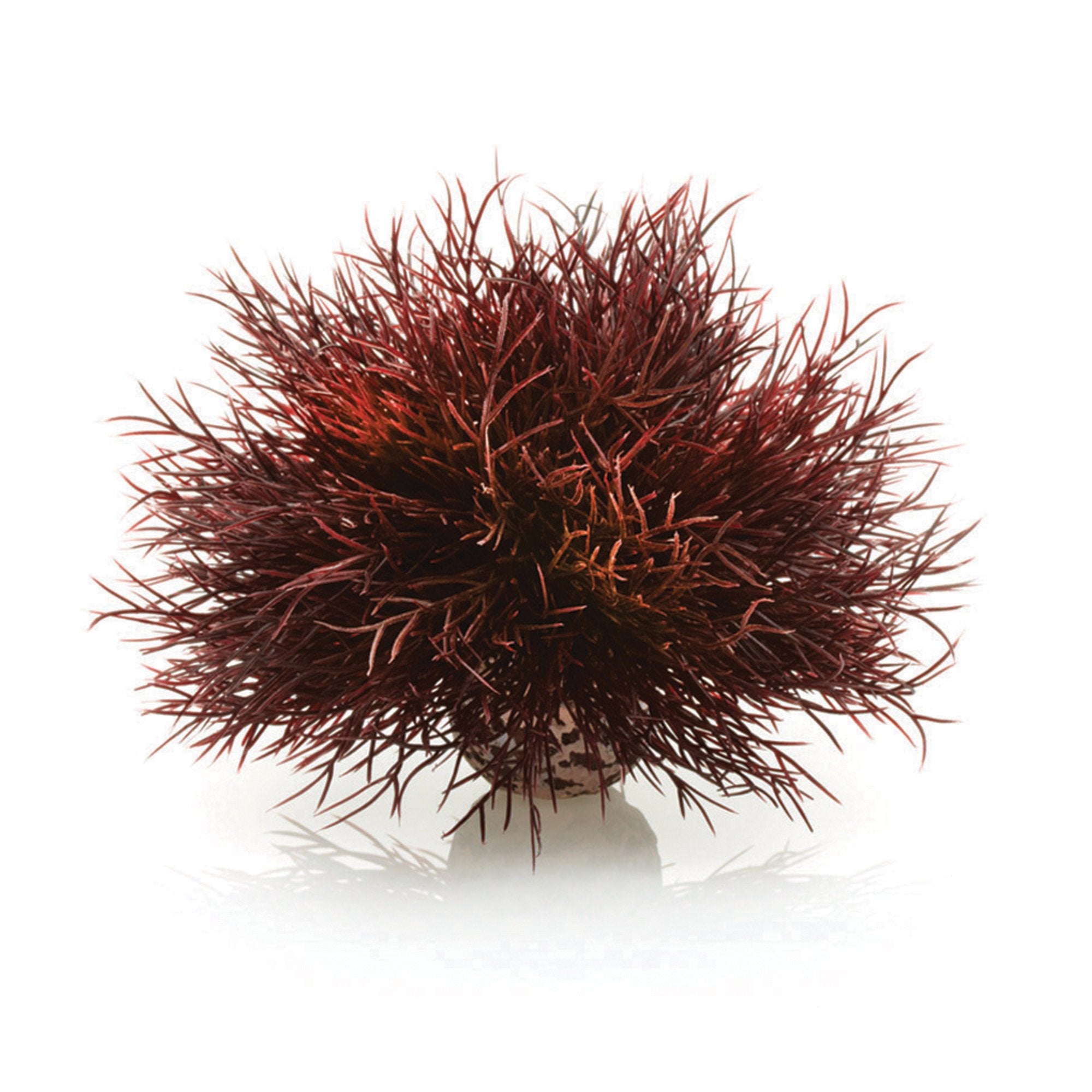 Biorb Sea Lily Crimson