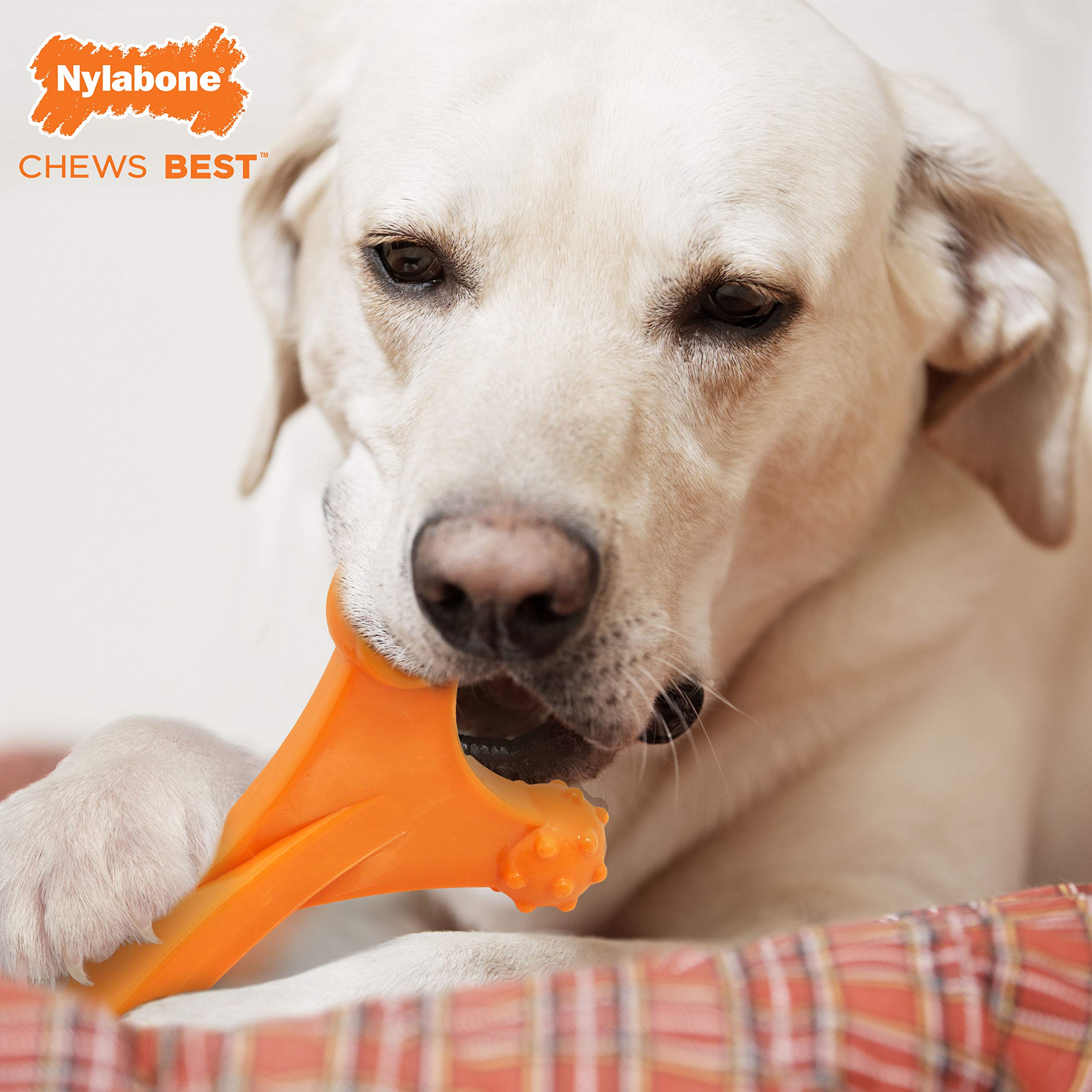 Nylabone Dog Toy Power Chew Dog Toy for Aggressive Chewers - Axis Bone Dog Toy - Bacon X-Large/Souper (1 Count)