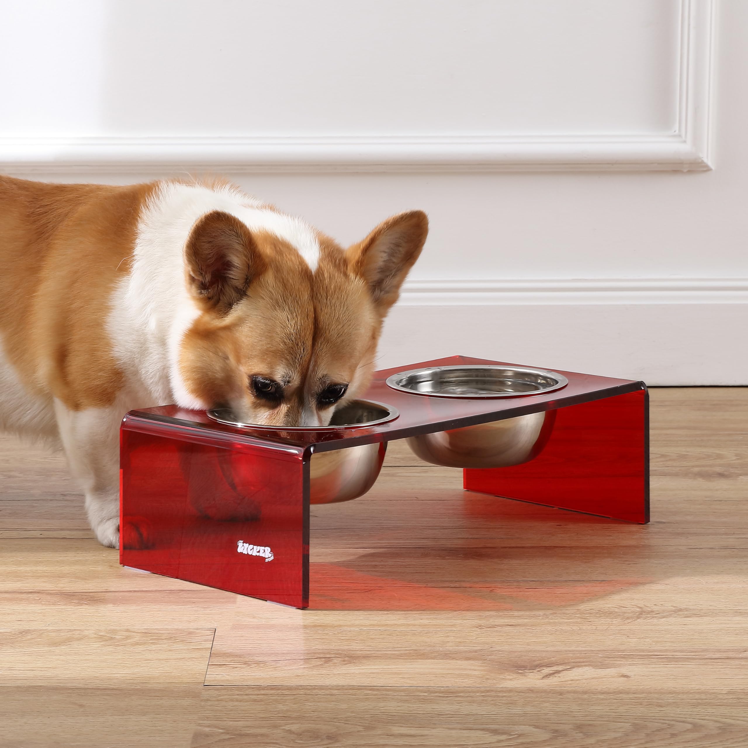 The LICKER Store DBL2000H Keaton 5 Small/Medium Modern Acrylic Rectangular Elevated Pet Feeder with 20oz 2-Stainless Steel Bowls