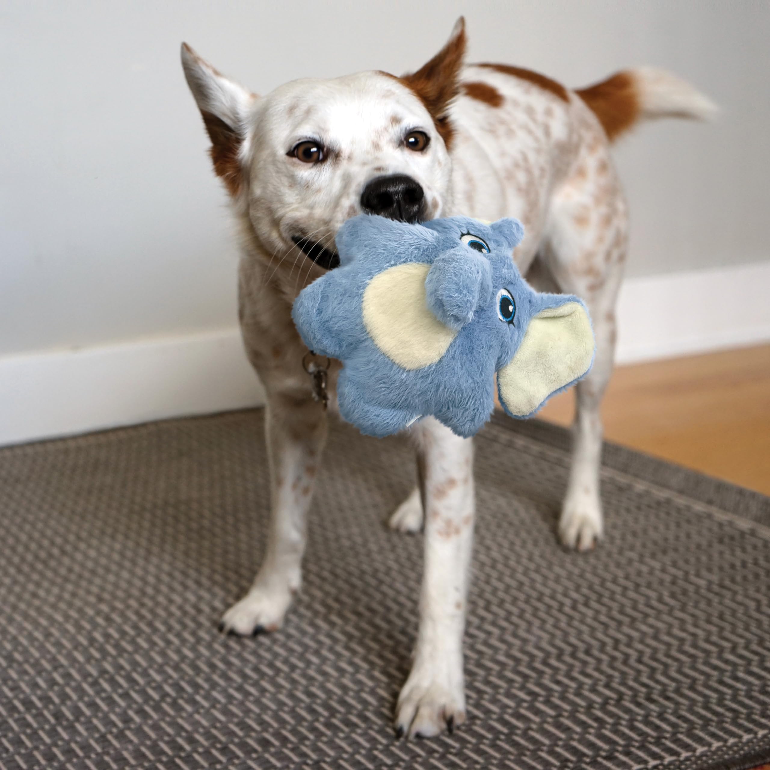 Kong Snuzzles Kiddos Sloth Sm