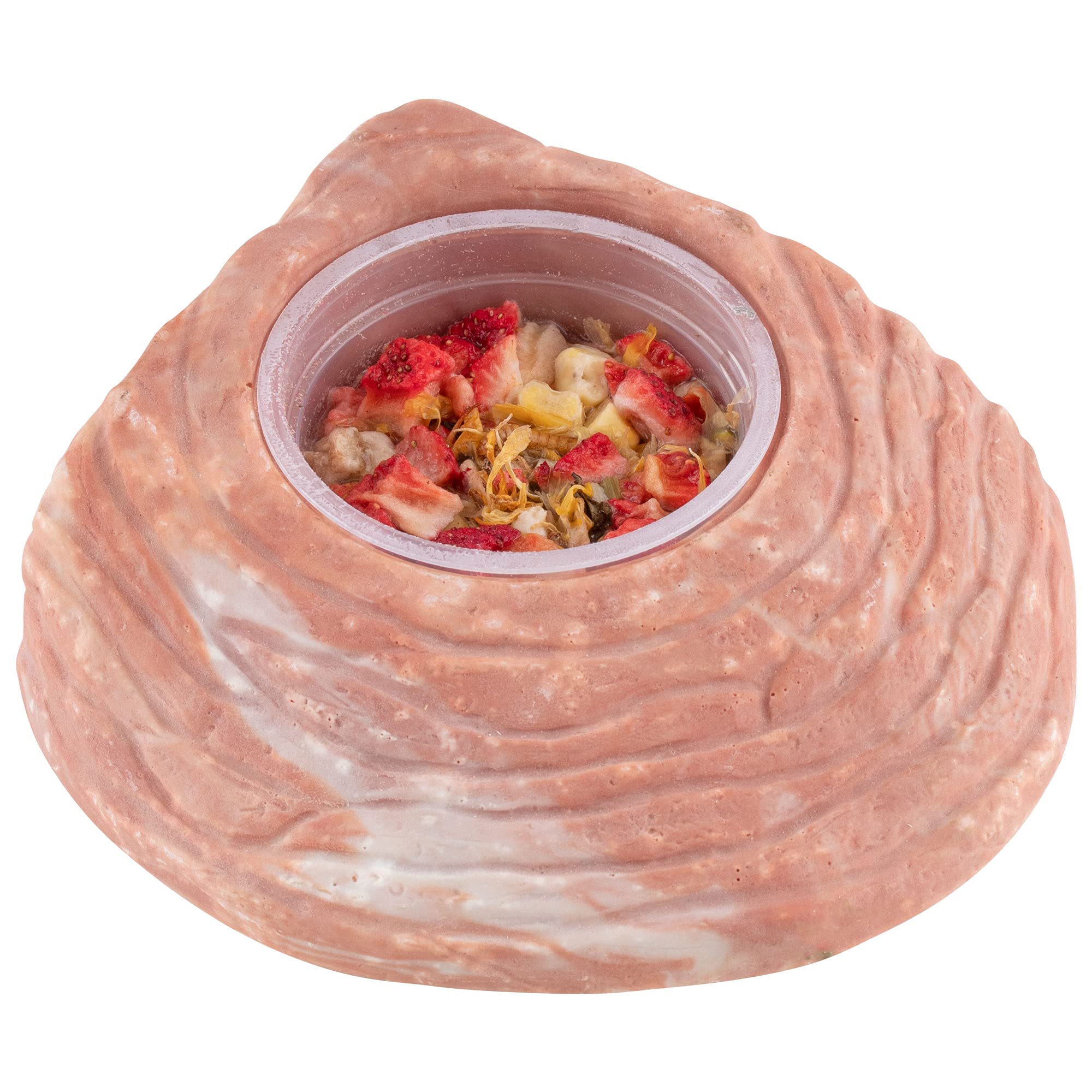 Healthy Herp Box Turtle Food Instant Meal for Reptiles - Nutritious Turtle and Tortoise Food, Habitat Accessories - Made in USA,