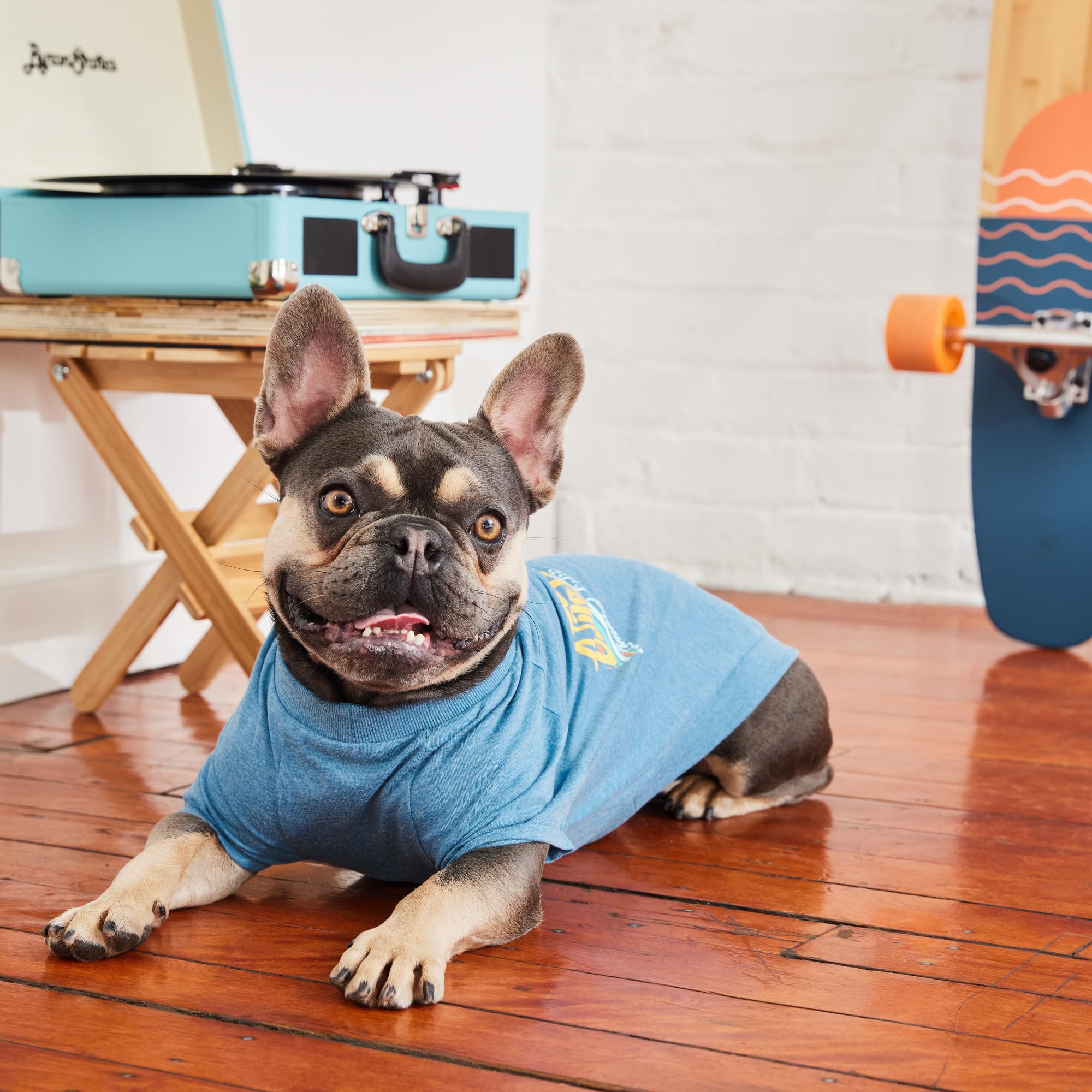 Gf Pet - Graphic Tee Dog T-Shirt (Heather Blue, Large)