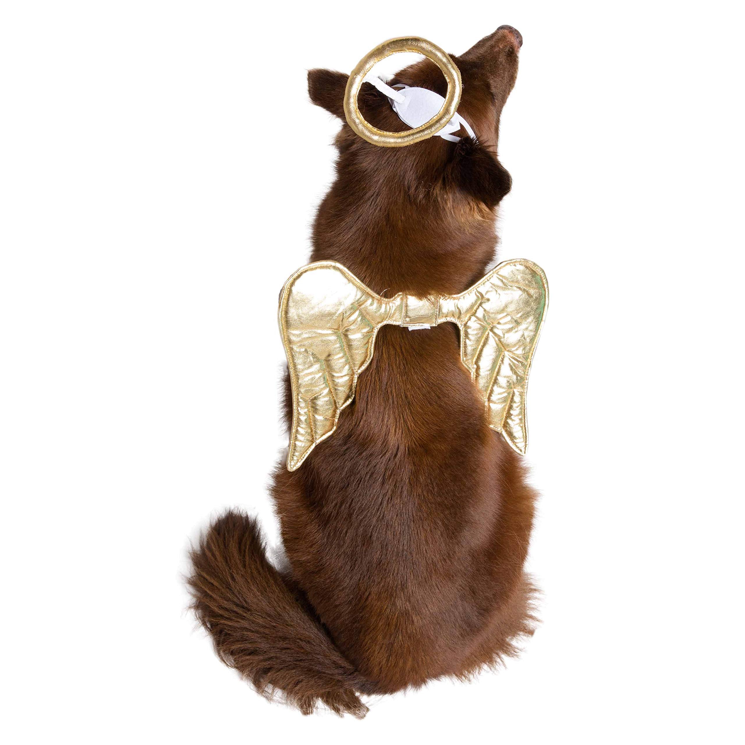 Pet Krewe Angel Dog Costume Wings & Cat Angel Costume Wings - Harness Attachment, One Size Fits All - Perfect For Halloween, Christmas Holiday, Parties, Photoshoots, Gifts For Dog & Cat Lovers
