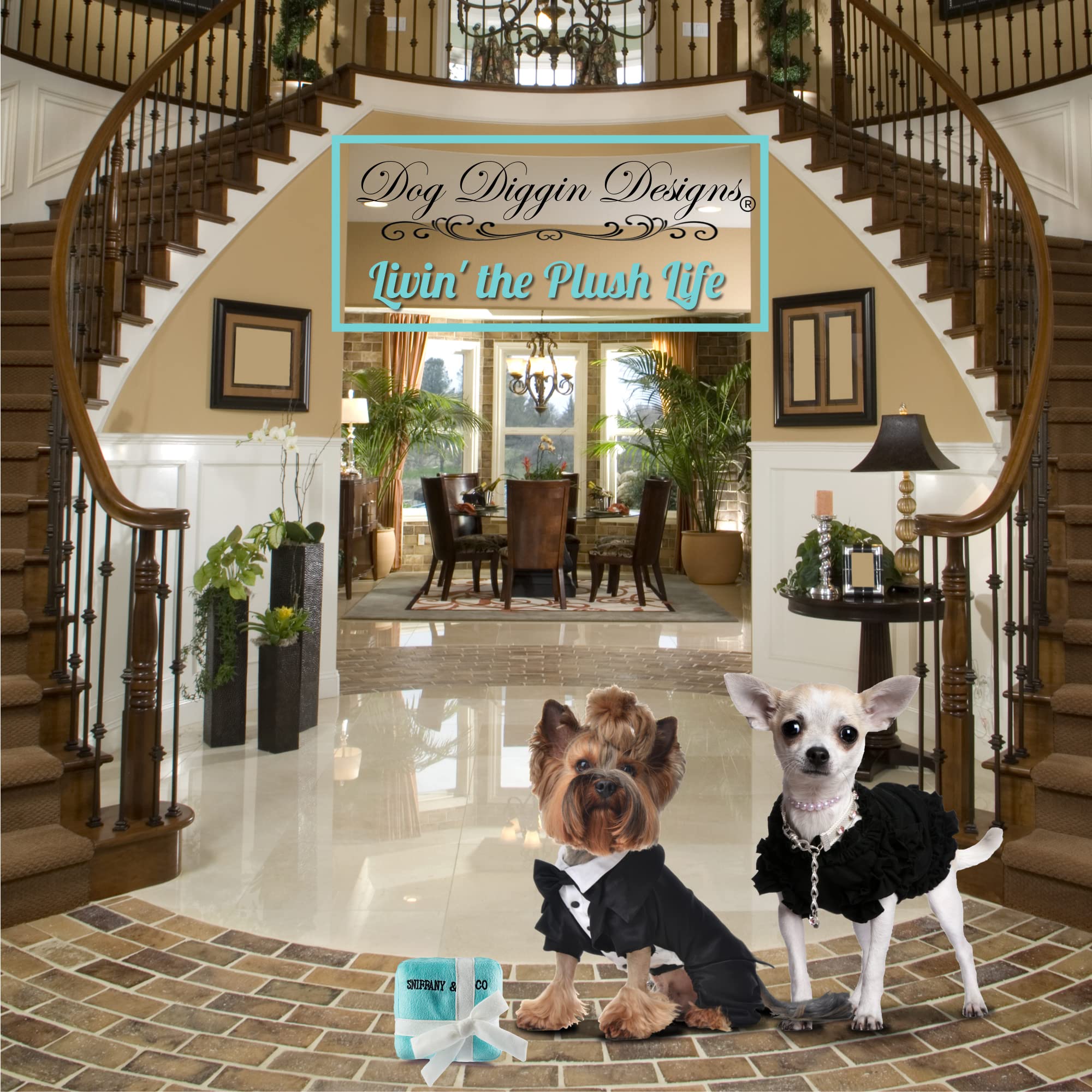 Dog Diggin Designs Priceless Capsule Gift Collection | Unique Squeaky Parody Plush Dog Toys – Thinking Outside The Box