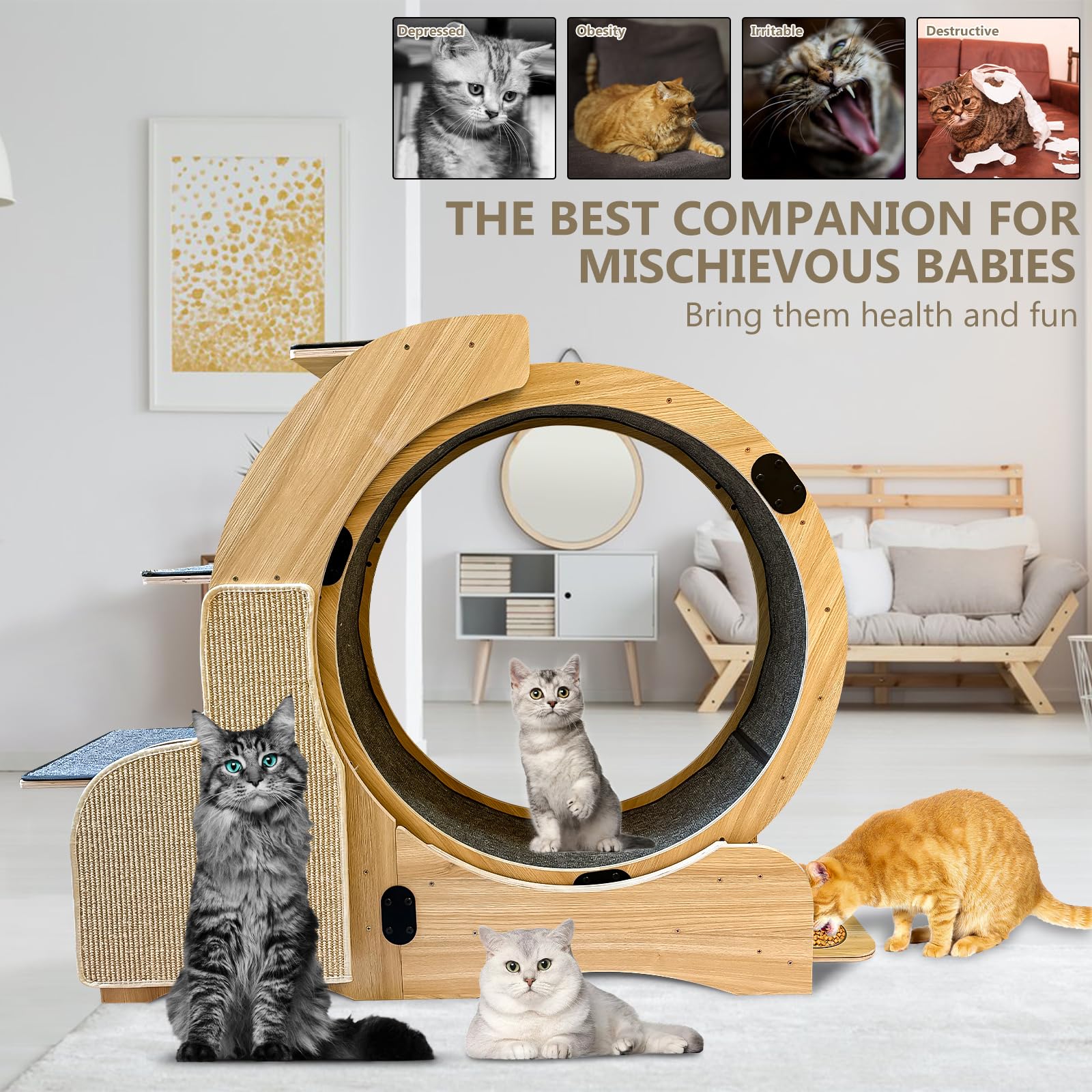 Upgraded Cat Wheel Exerciser For Indoor,Large Cats Treadmill,Cats Running Wheel With Silent Wheels,Loss Weight Device (Natural W