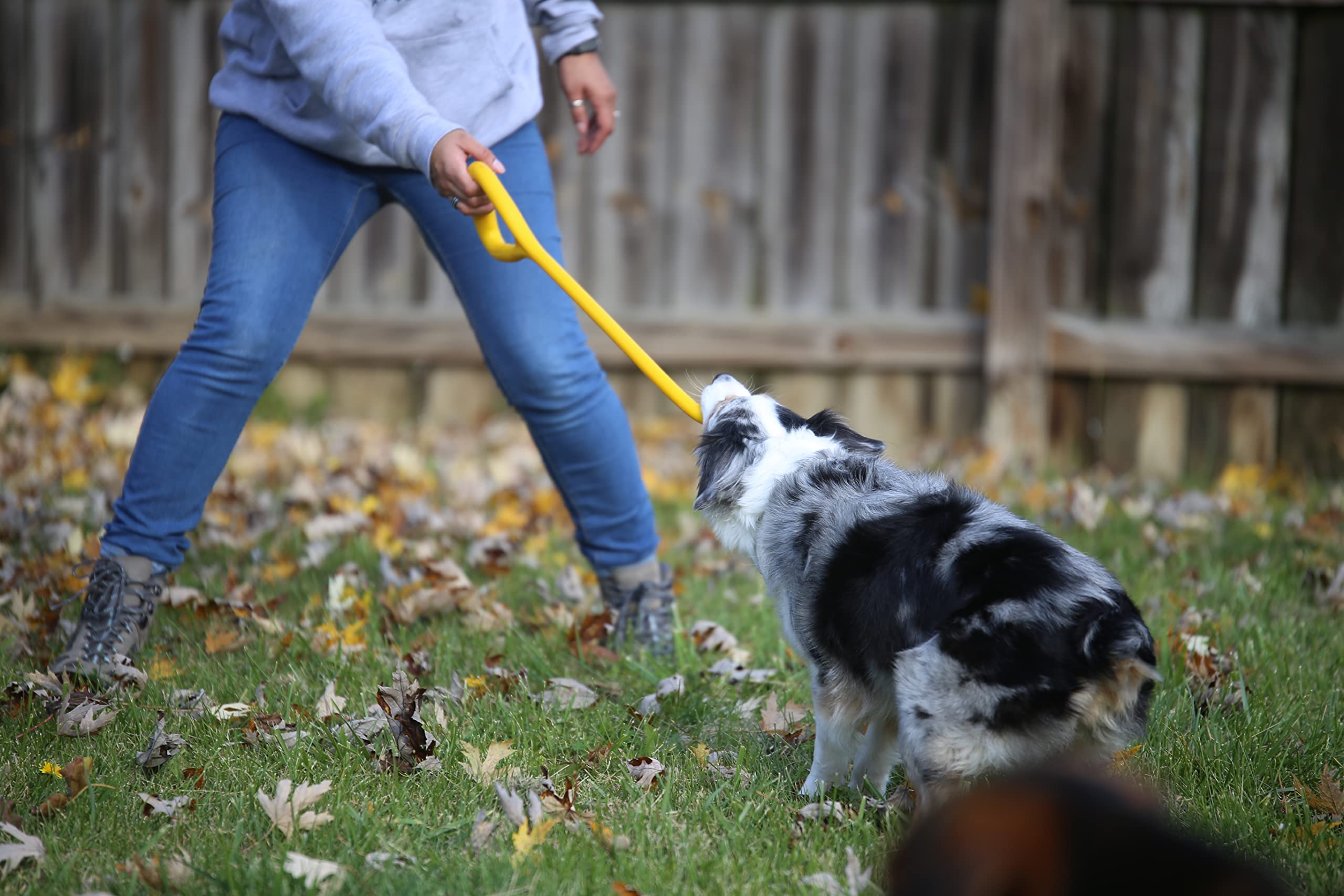 Jersey Dog Co. The Ultimate Tug Toy (Blue) - Made In The Usa