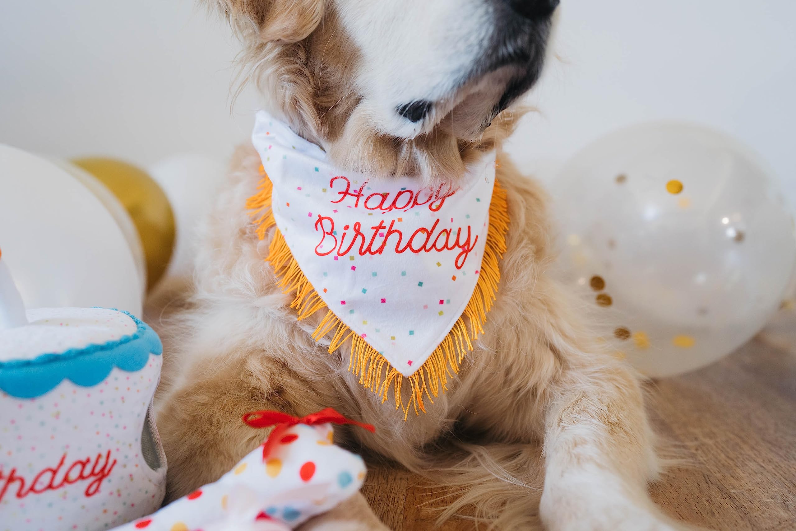 Zippypaws Birthday Gifts For Dogs - Polkadot Birthday Bandana And Plush Squeaky Bone Toy, Dog Birthday Party Supplies For Boys & Girls