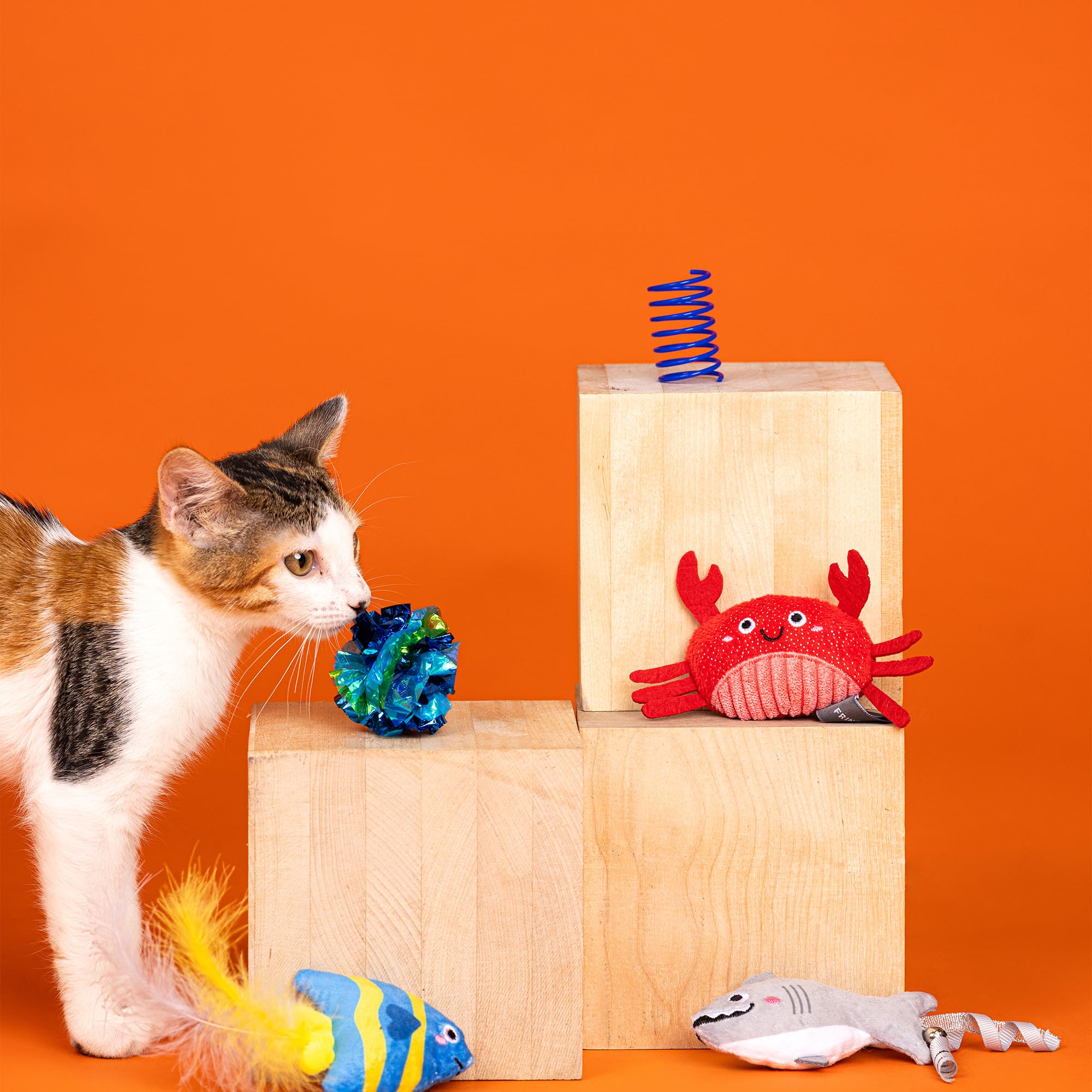 Fringe Studio 6PCS Cat Toy Set, Water You Waiting For? - North American Catnip, Crinkle Paper, Ribbons, Feathers, Model 610022