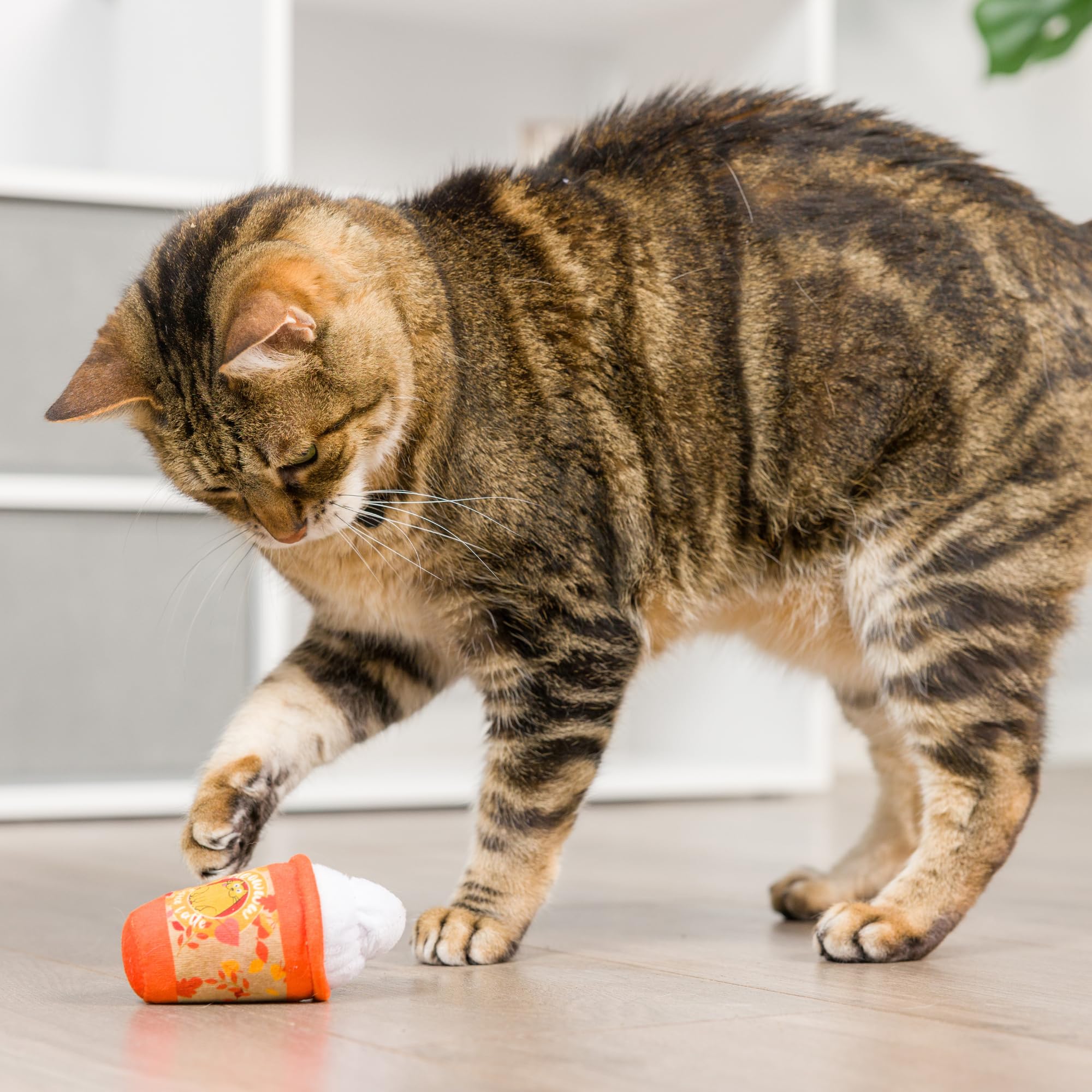 Huxley & Kent Meowww Spice Latte Plush Cat Toy | Fall Season Strong Catnip Filled | Interactive Kitten Toy With Crinkle | Kittyb