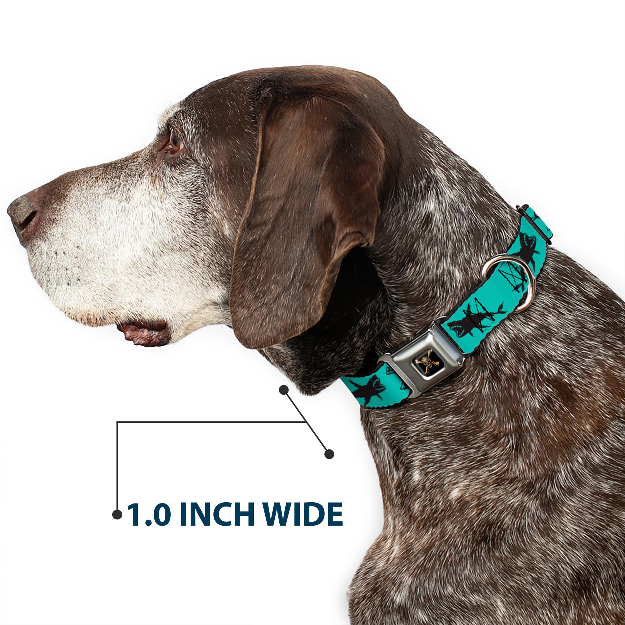 Buckle-Down Dog Collar Seatbelt Buckle Pirates Skull Crossbones Sharks Turquoise Black 15 To 26 Inches 1.0 Inch Wide, Multicolor (Dc-Wdy391-L)
