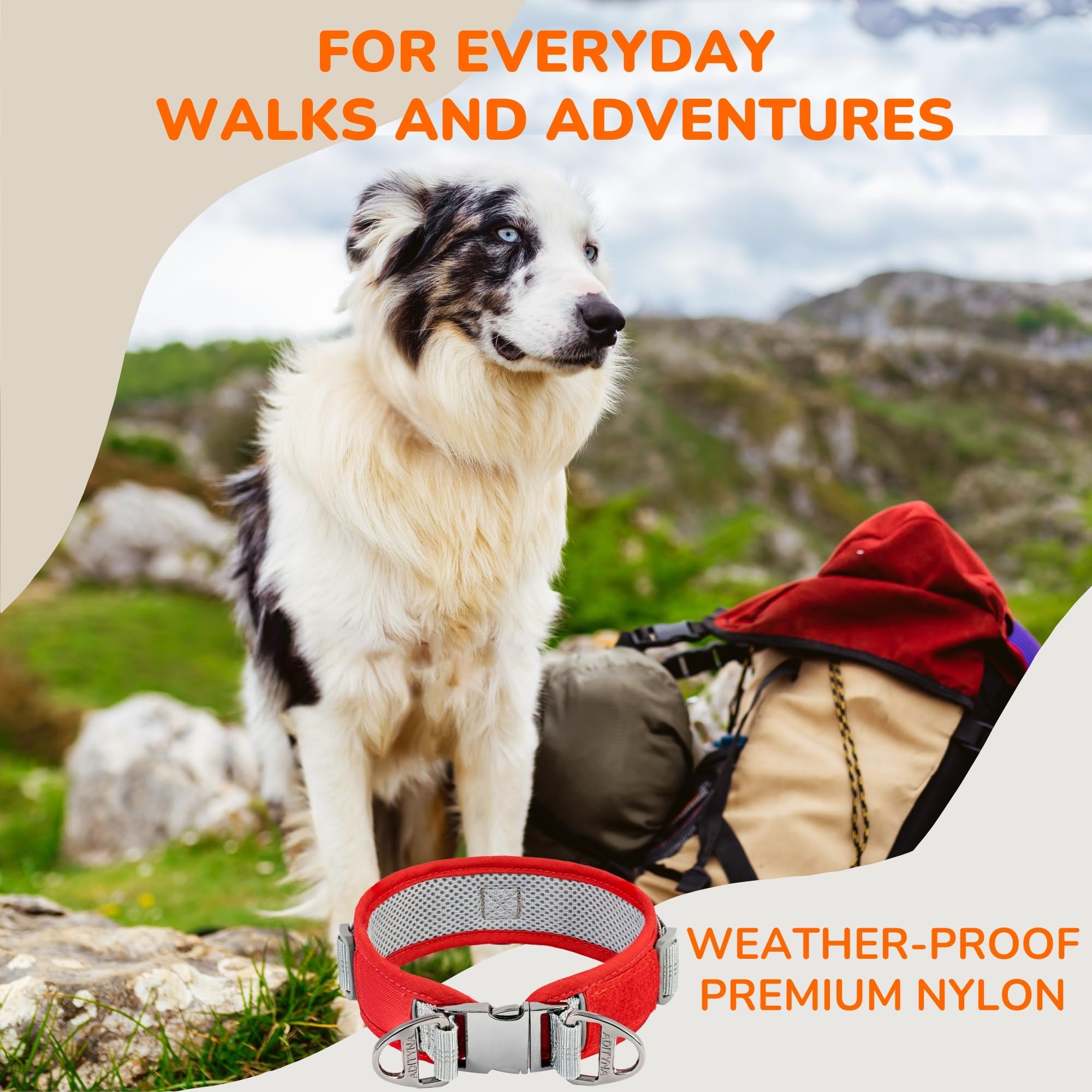 Durable 2-Inch Adjustable Dog Collar For Medium Dogs - Reflective, Heavy-Duty Metal Buckle, Comfortable Mesh Lining, Includes Pa