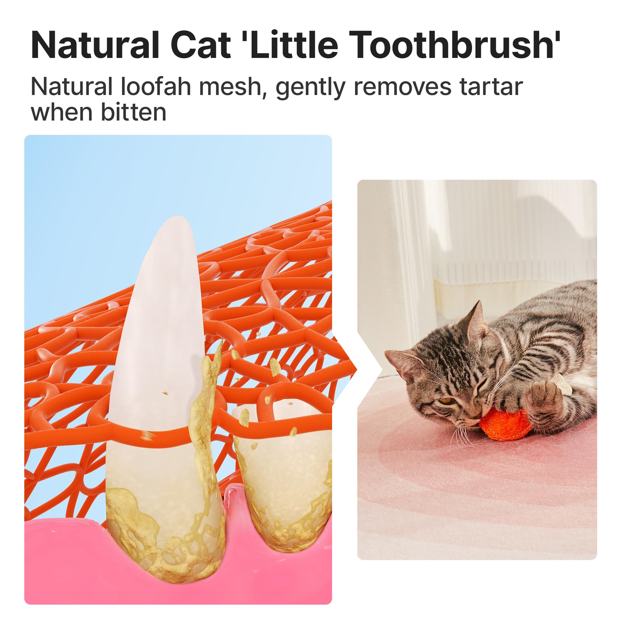 Potaroma Loofah Cat Chew Toys With Catnip And Silvervine, 3Pcs Interactive Kitten Loofa Dental Teething And Biting Catnip Toys F