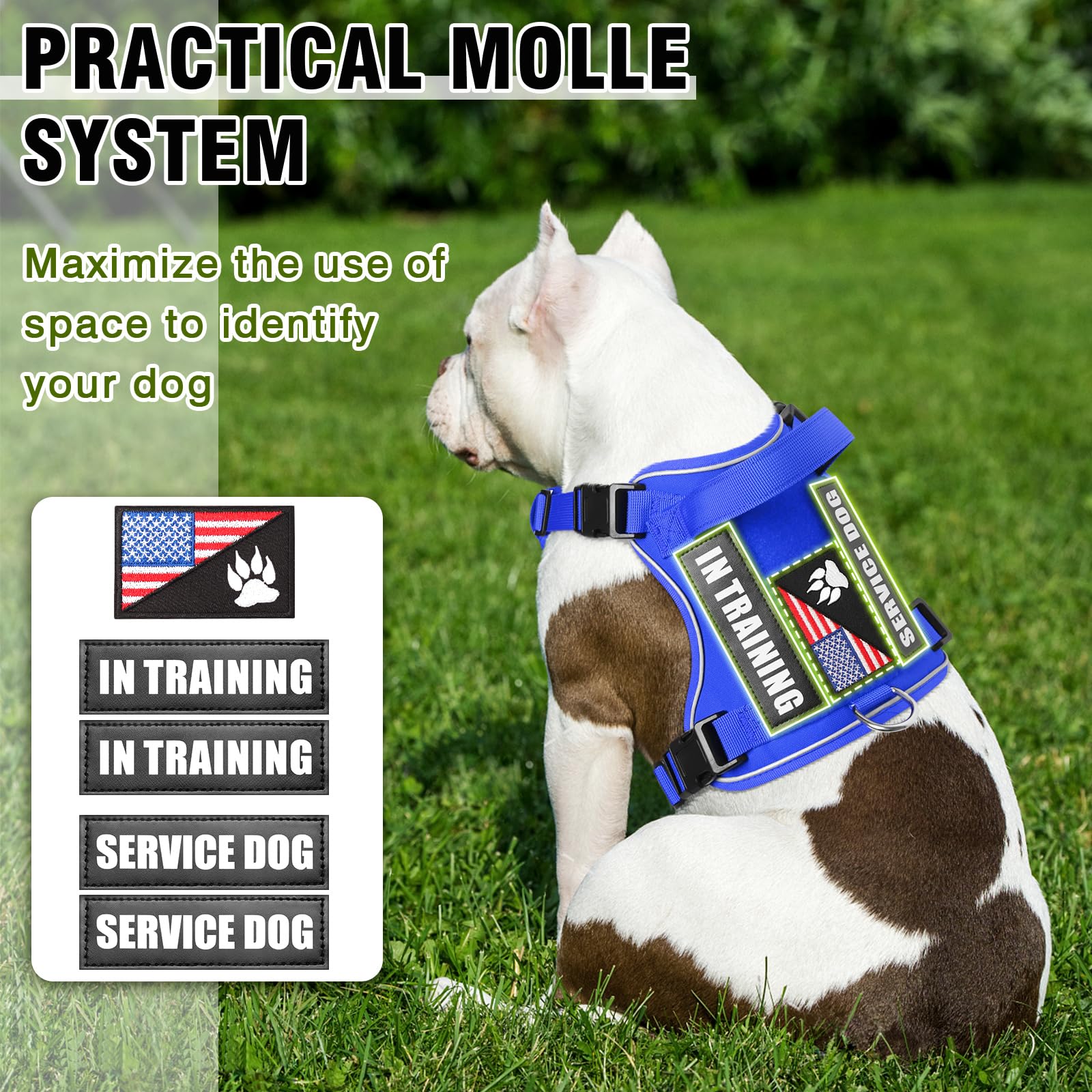 Winsee Service Dog In Training Harness With 5 Pcs Patches, Reflective Tactical Dog Vest Harness, Adjustable Soft Oxford Pet Harn