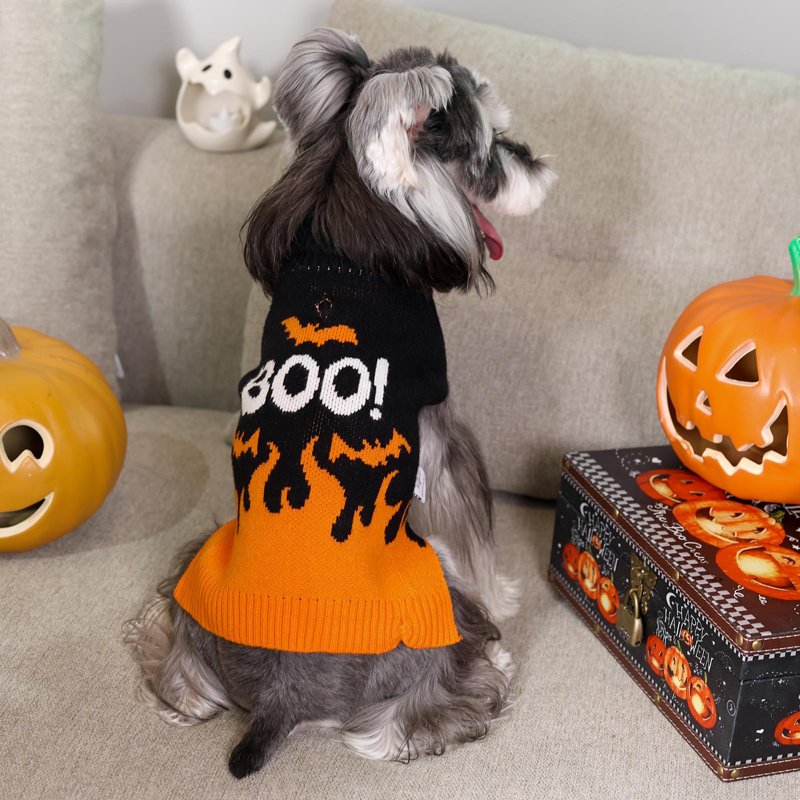 Cutebone Halloween Dog Sweater - Skull Pullover For Small, Medium Dogs - Winter Coat For Chihuahua, Yorkie, Teacup Ds99M