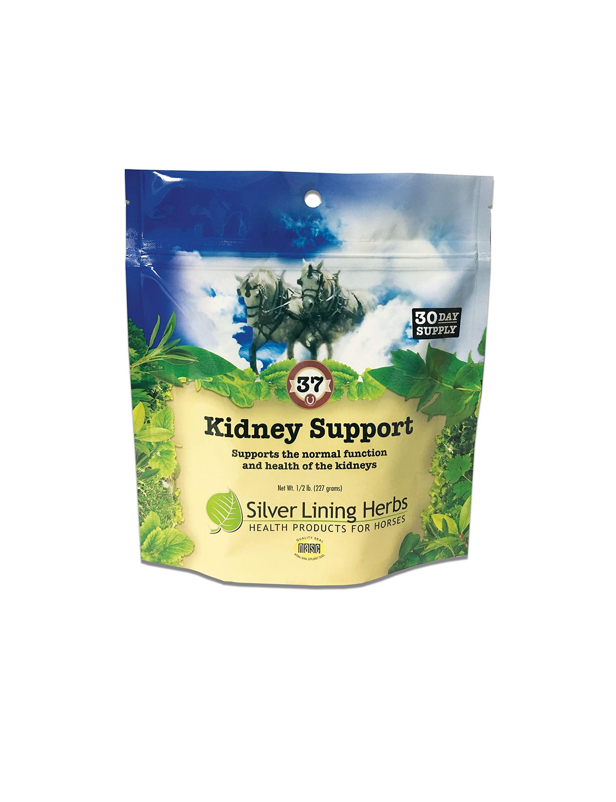 Silver Lining Herbs Equine 37 Kidney Support  Herbal Horse Supplement  Natural Support Blend For Normal Kidney & Bladder Funct
