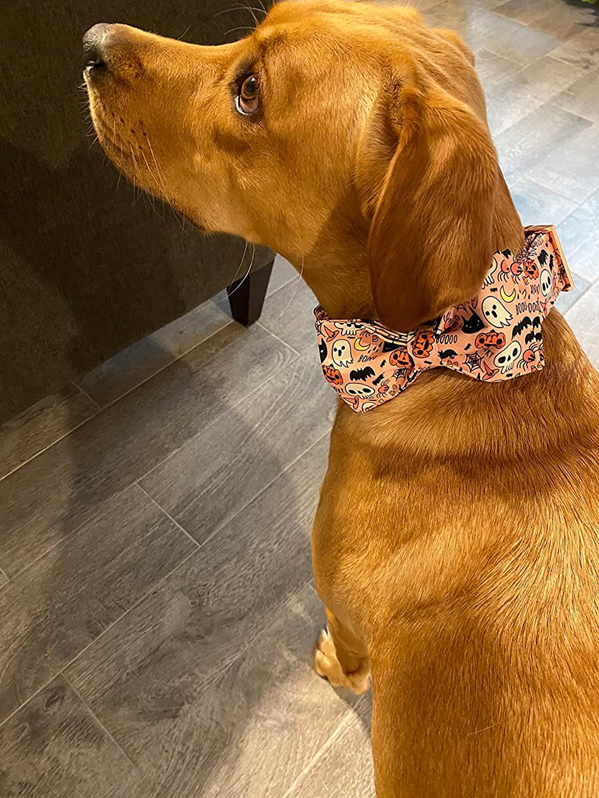Elegant Little Tail Dog Collar With Bow - Fall Dog Collar Halloween Pumpkin Bow Girl Boy Pet Collar Soft Dog Bowtie Collars For Medium Dogs