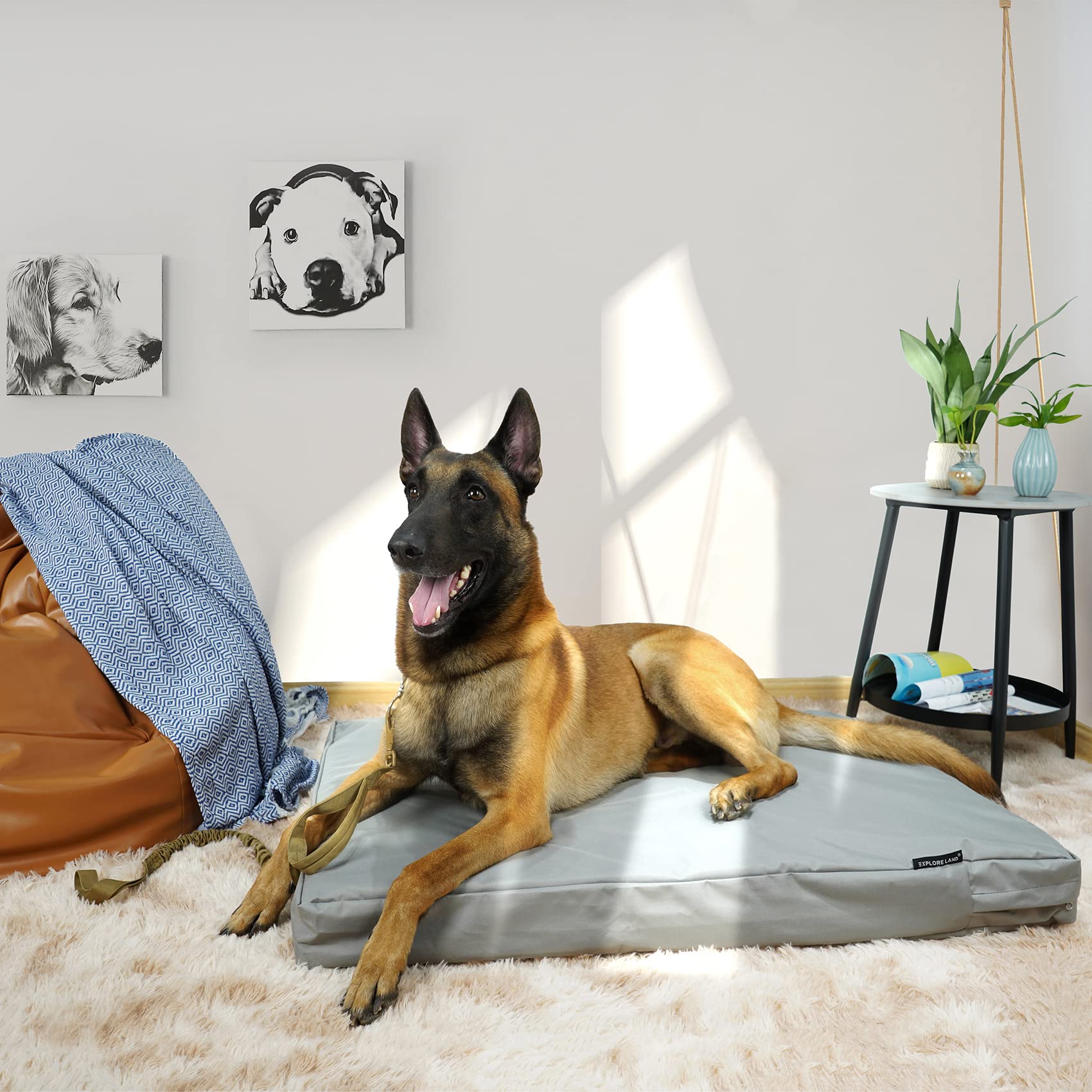 Explore Land Waterproof Dog Bed Cover Canvas Washable Dog Crate Pad Replacement Cover For 48 Inch Crate, 46Lx29Wx4H Inch, Gray