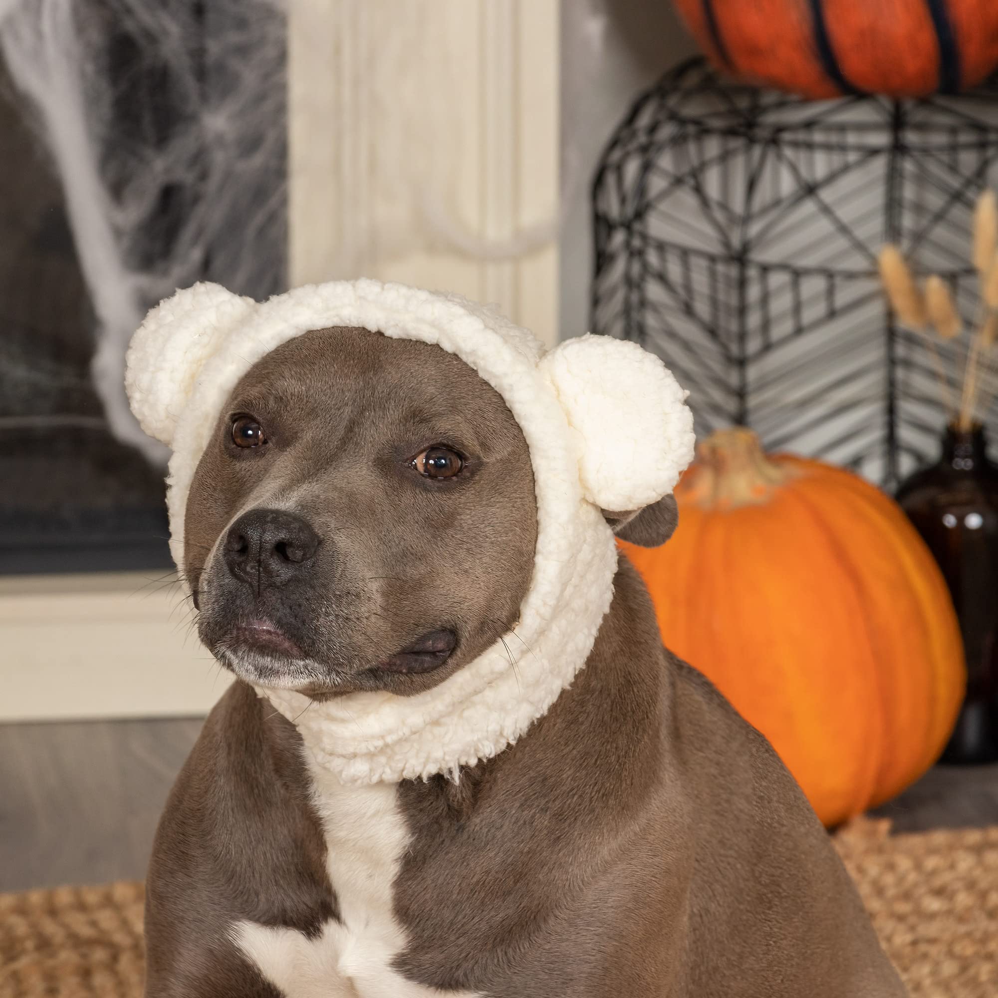 Furhaven Medium Dog Hat Flex-Fit Polar Bear Sherpa Halloween Costume, Washable - Cream, Medium
