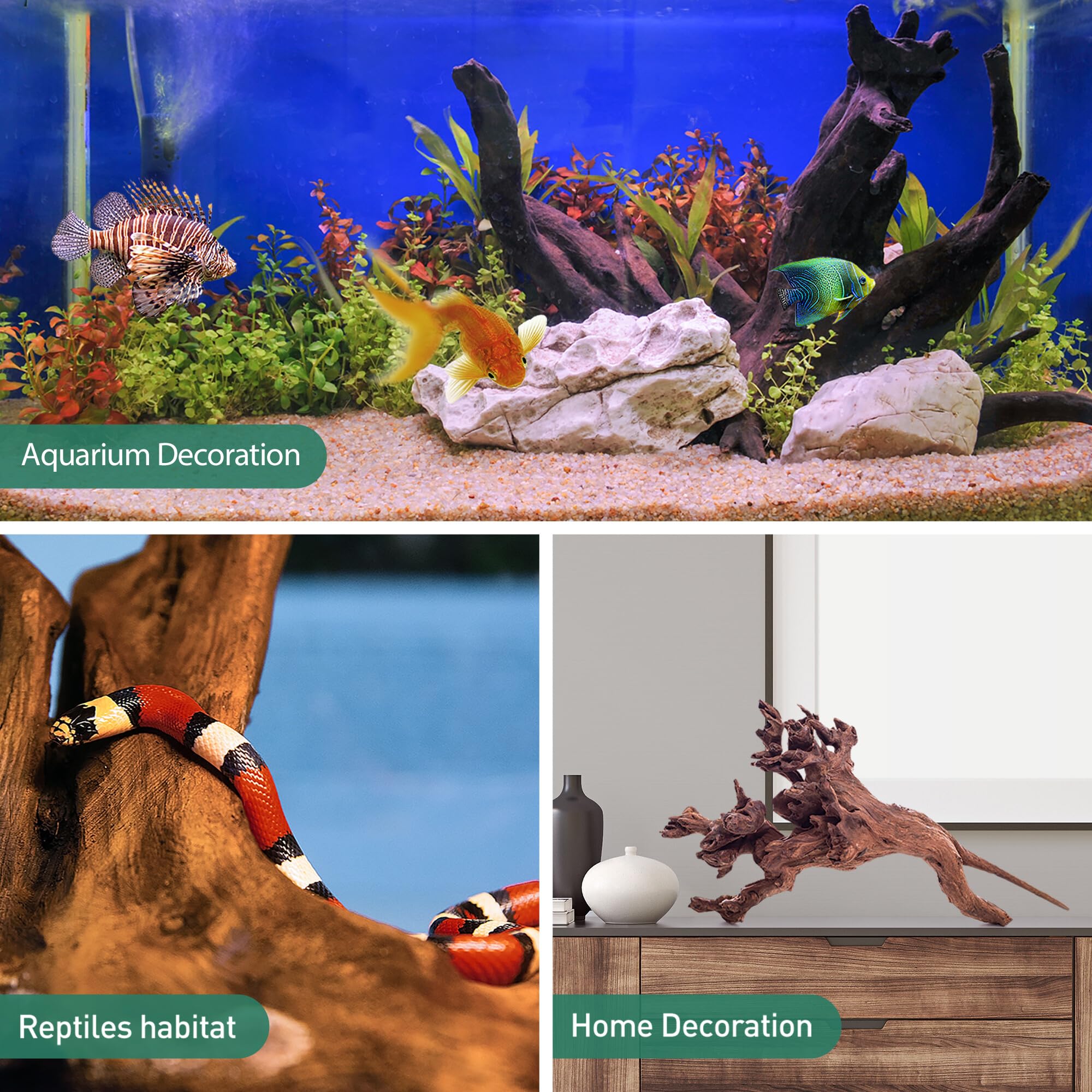 WDEFUN Natural Driftwood for Aquarium Decor, 13-16 Inch Assorted Branches, Perfect for Reptile & Fish Tanks