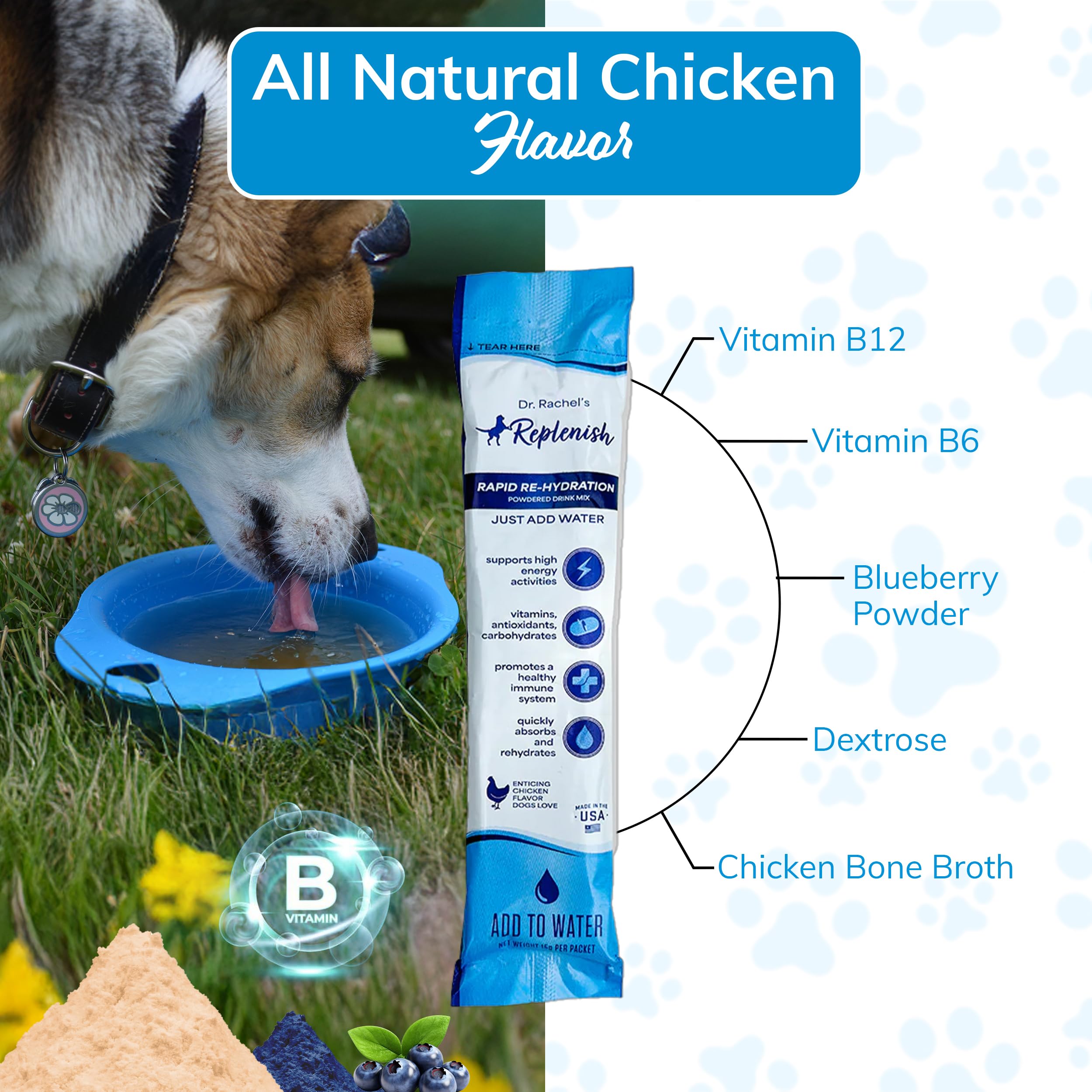 Replenish Dog Recovery Water Supplement - Dog Rehydration Liquid & Powder Alternative to Dog Electrolytes - Electrolytes for Dog