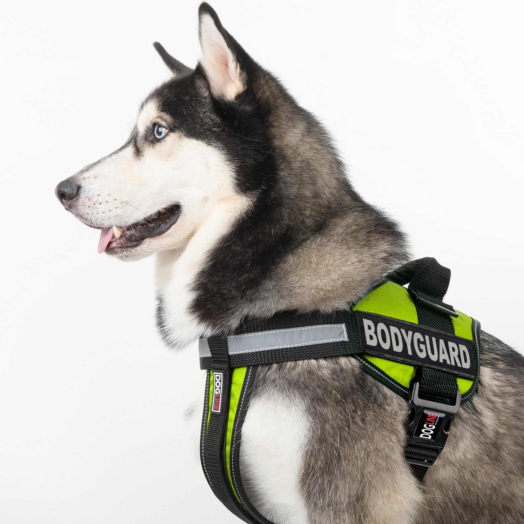 Dogline Unimax Multi-Purpose Vest Harness for Dogs and 2 Removable Bodyguard Patches, X-Large, Green