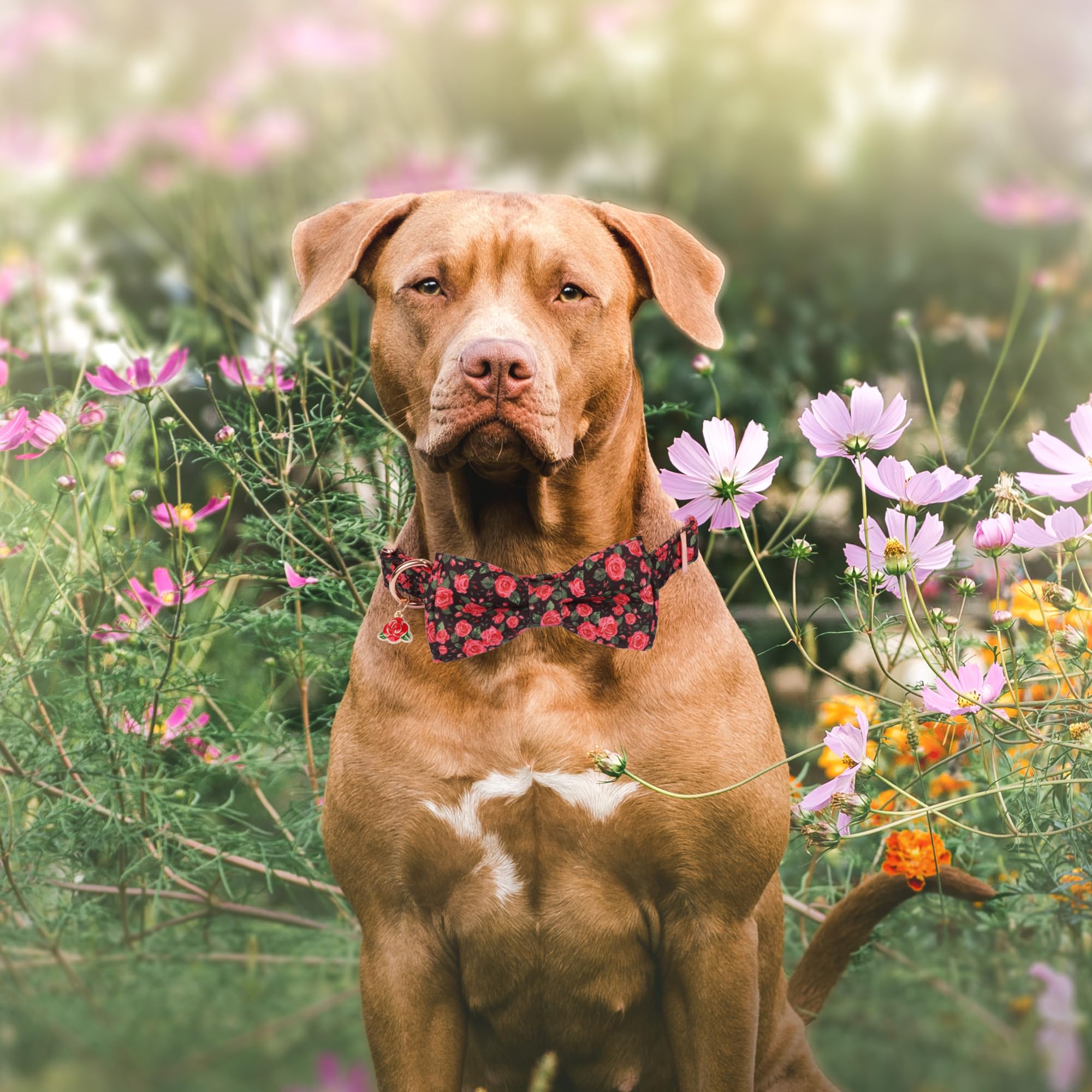 Adoggygo Floral Dog Collar With Bow, Red Rose Flower Dog Bowtie Collar With Metal Buckle, Adjustable Pet Floral Collars For Larg