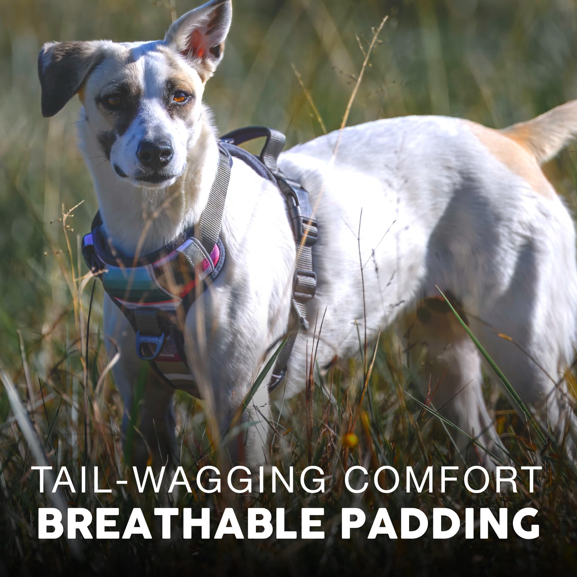 Embark Urban Dog Harness - No Pull, Adjustable, Large, Black, Soft Oxford Vest with 2 Leash Clips and Control Handle