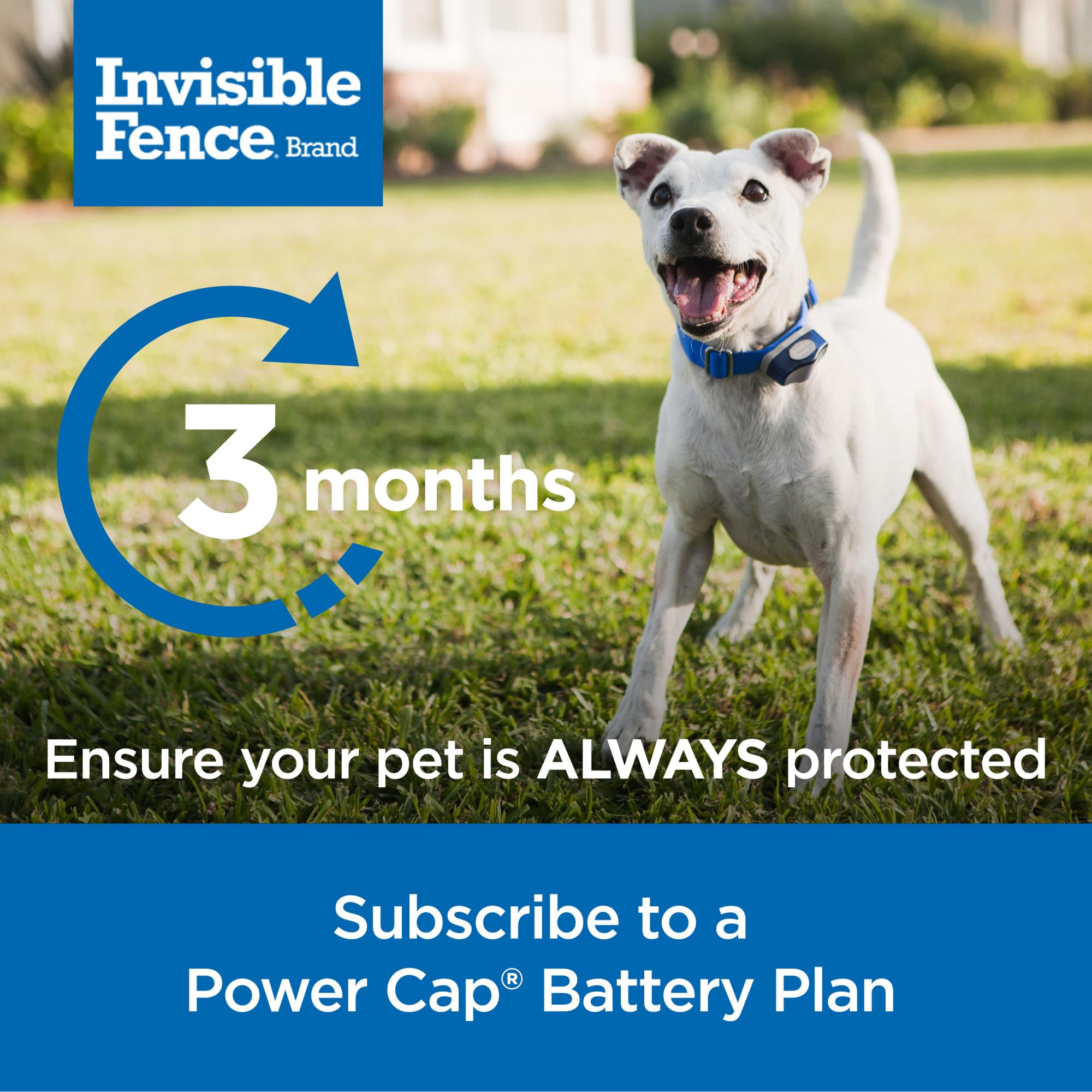 Invisible Fence Power Cap Battery - Original Replacement for Dog Collars - Long-Lasting 2 Pack - Model RAC00-17868 - Grey