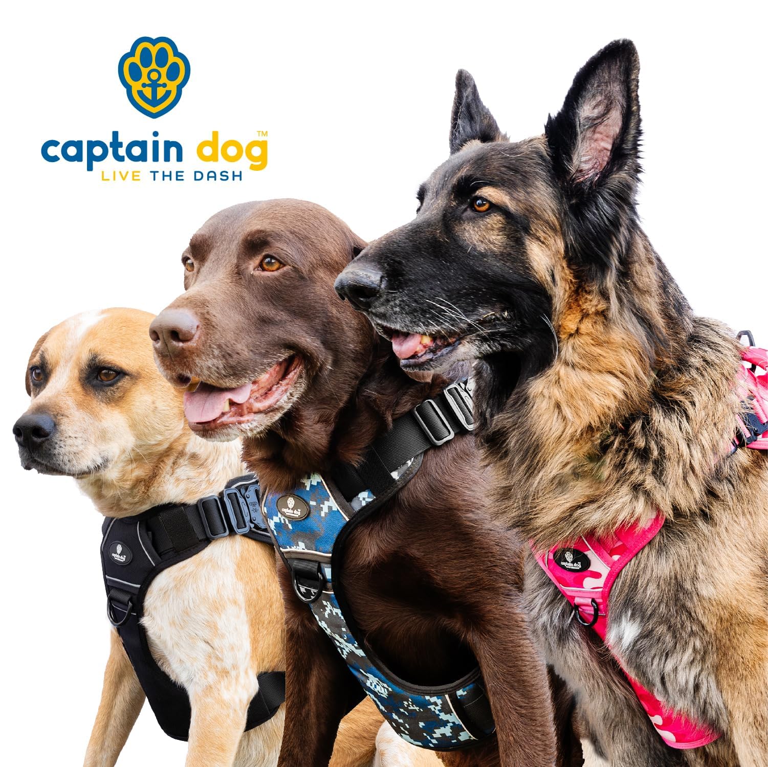 Xxl Reflective Xdog Vest No Pull 100Lb With 4 Metal Buckles & Double Stitching Captain Dog - Xxxl Dog Harness With 2 Removeable