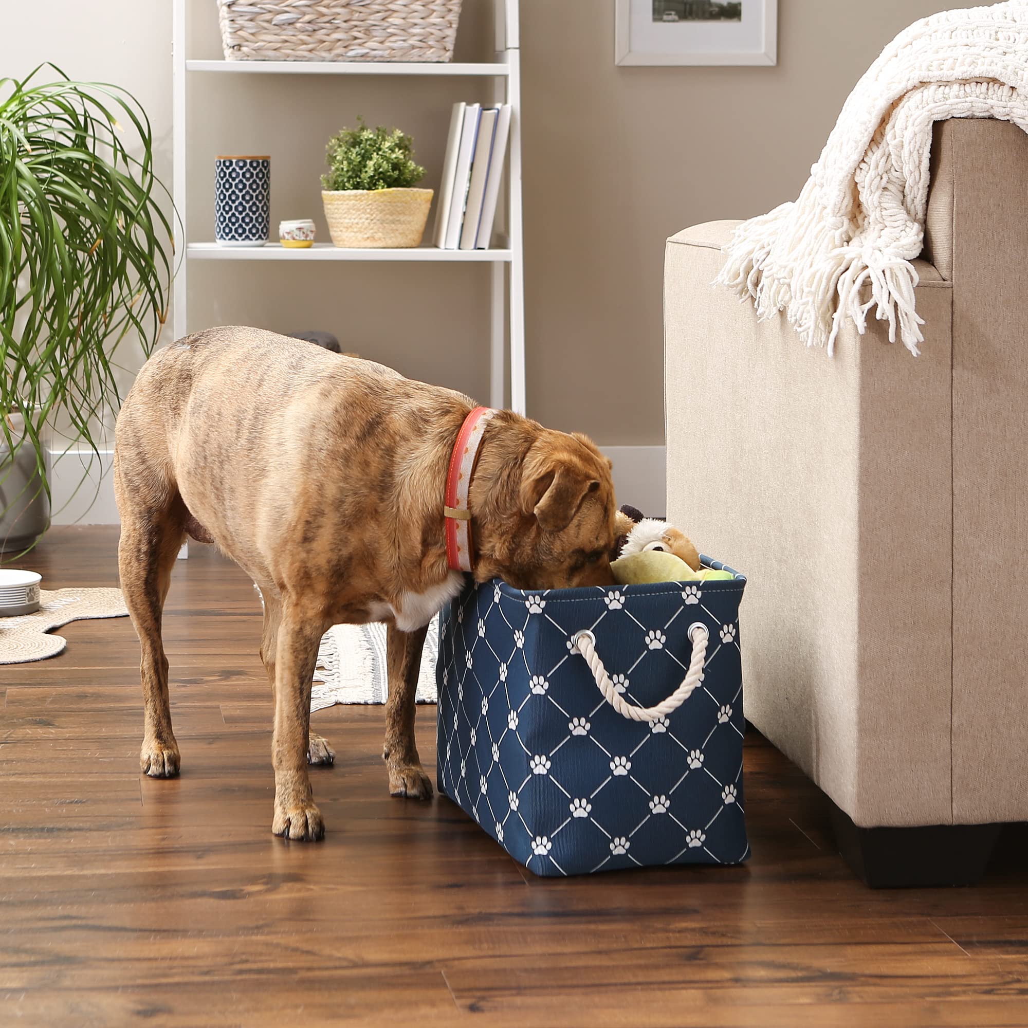 Bone Dry Pet Storage Collection Paw and Bone Print, Medium Rectangle, 16x10x12, Navy Trellis
