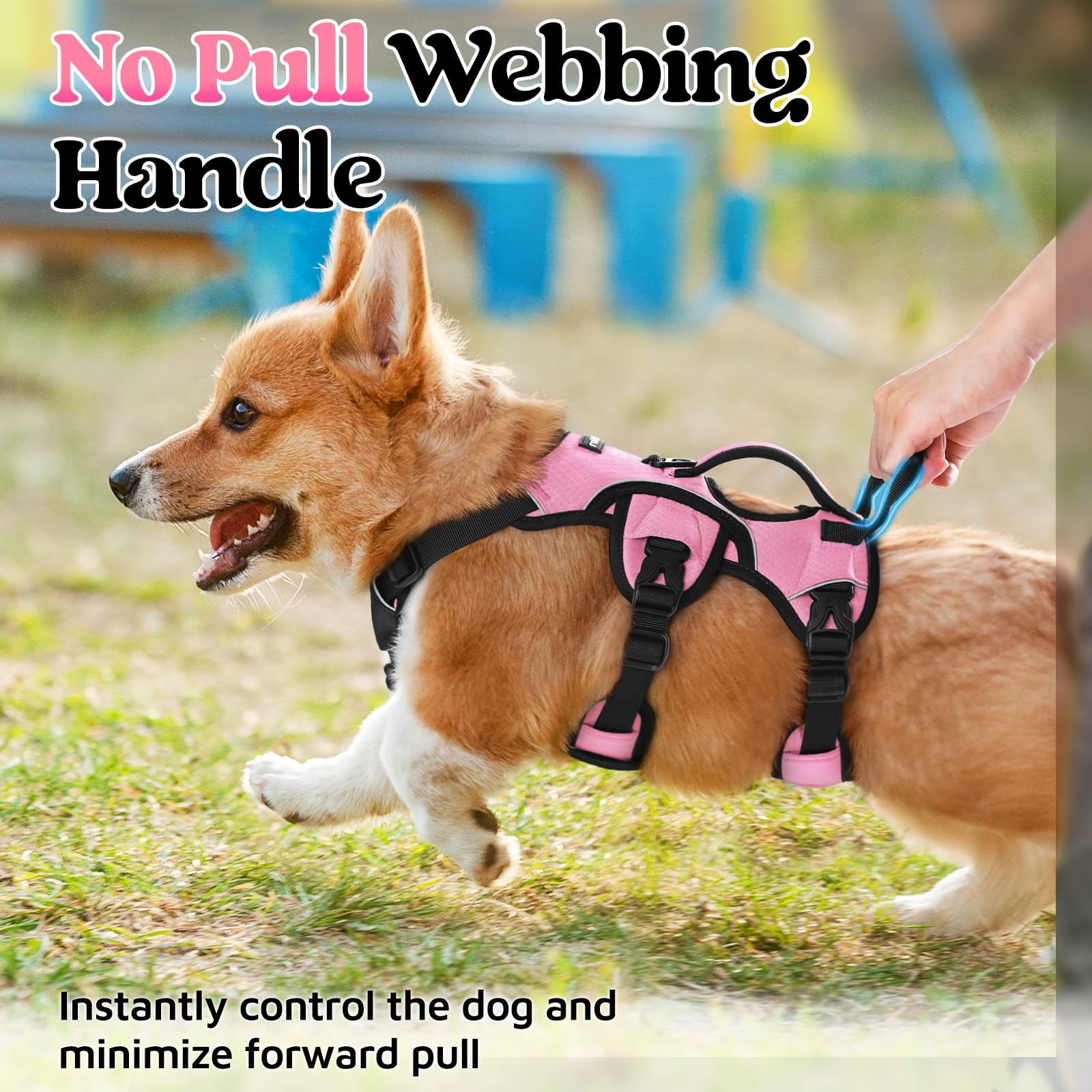 Rabbitgoo Escape Proof Dog Harness Small Sized Dog, Soft Padded Full Body Pet Harness, Reflective Adjustable Vest With Lift Hand