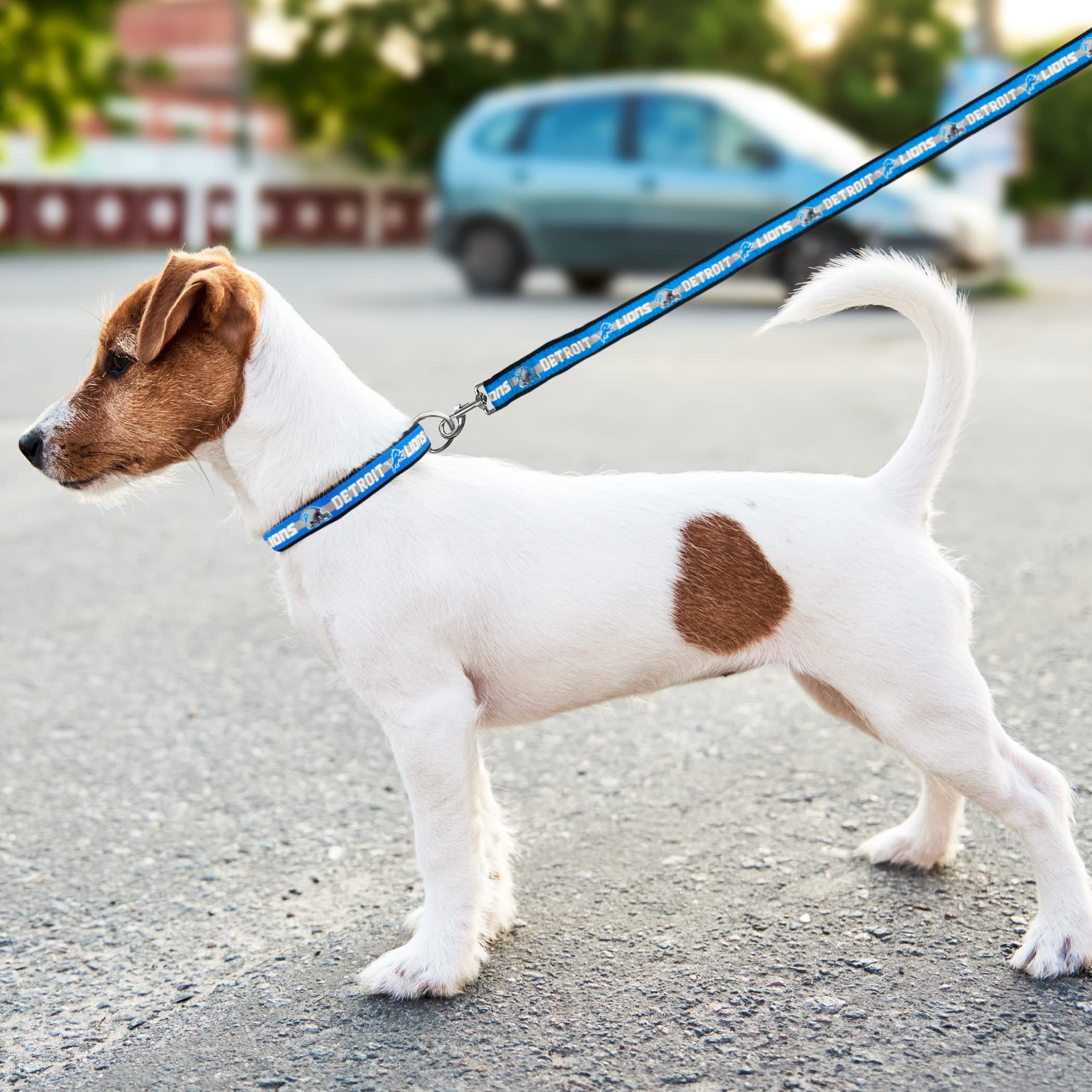 Pets First NFL Detroit Lions Licensed PET COLLAR, Small - Heavy-Duty, Strong, and Durable Dog Collar. Available in 31 Football T