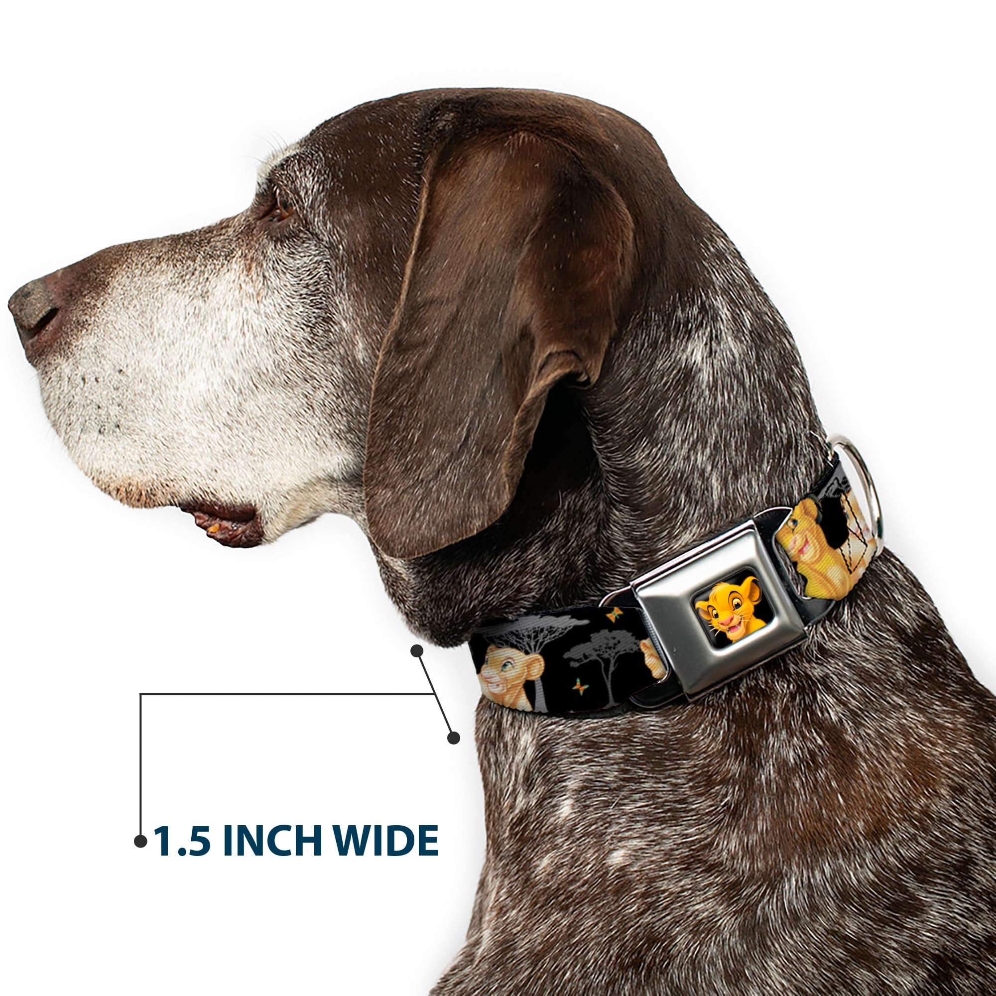 Buckle-Down Dog Collar Seatbelt Buckle Lion King Simba Nala Hakuna Matata 11 To 17 Inches 1.0 Inch Wide, Multi Color (Dc-Wdy046-M)