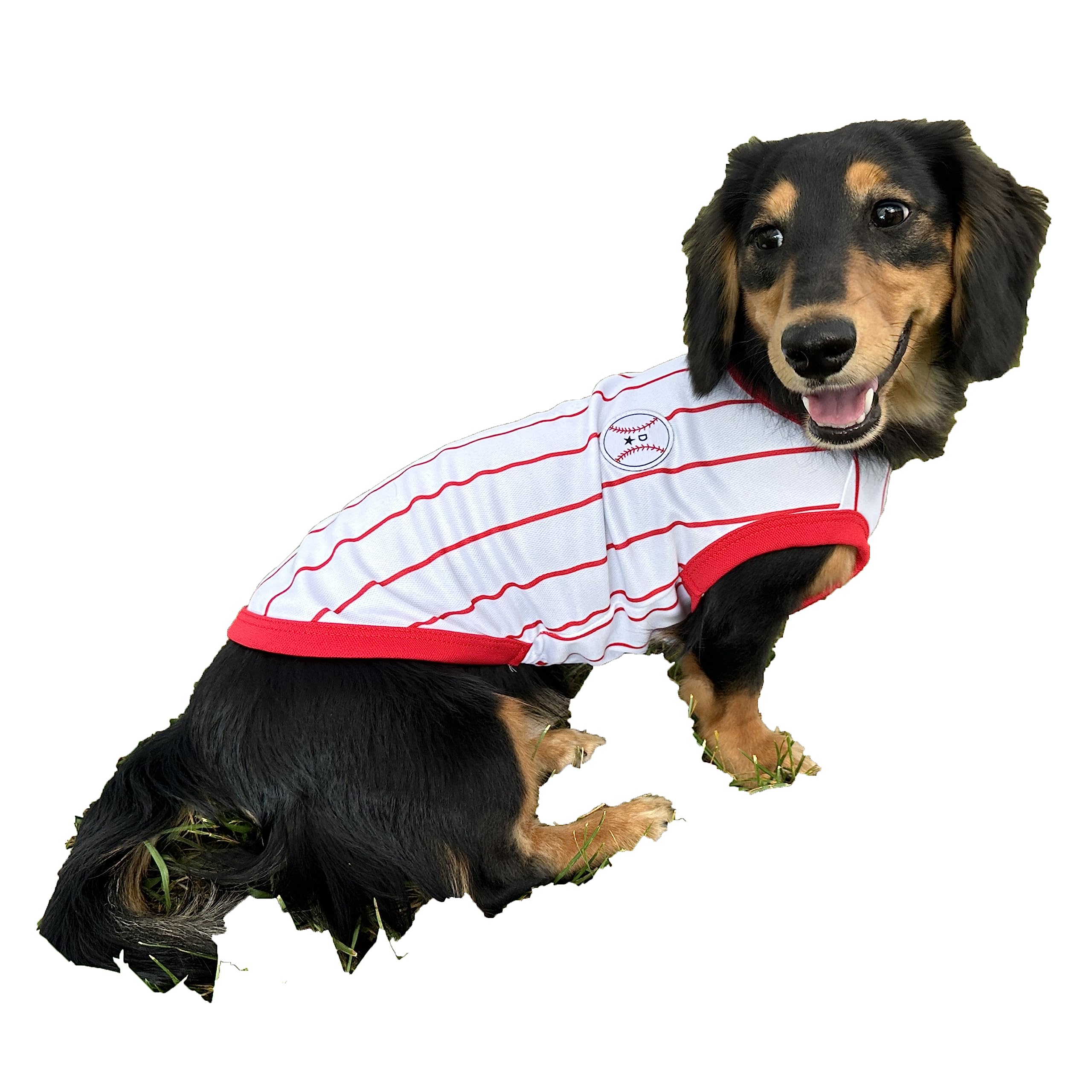 D Doggy Star Dachshund Clothes For Dogs Baseball Mini And Adults T Shirts (S,Baseball Red)