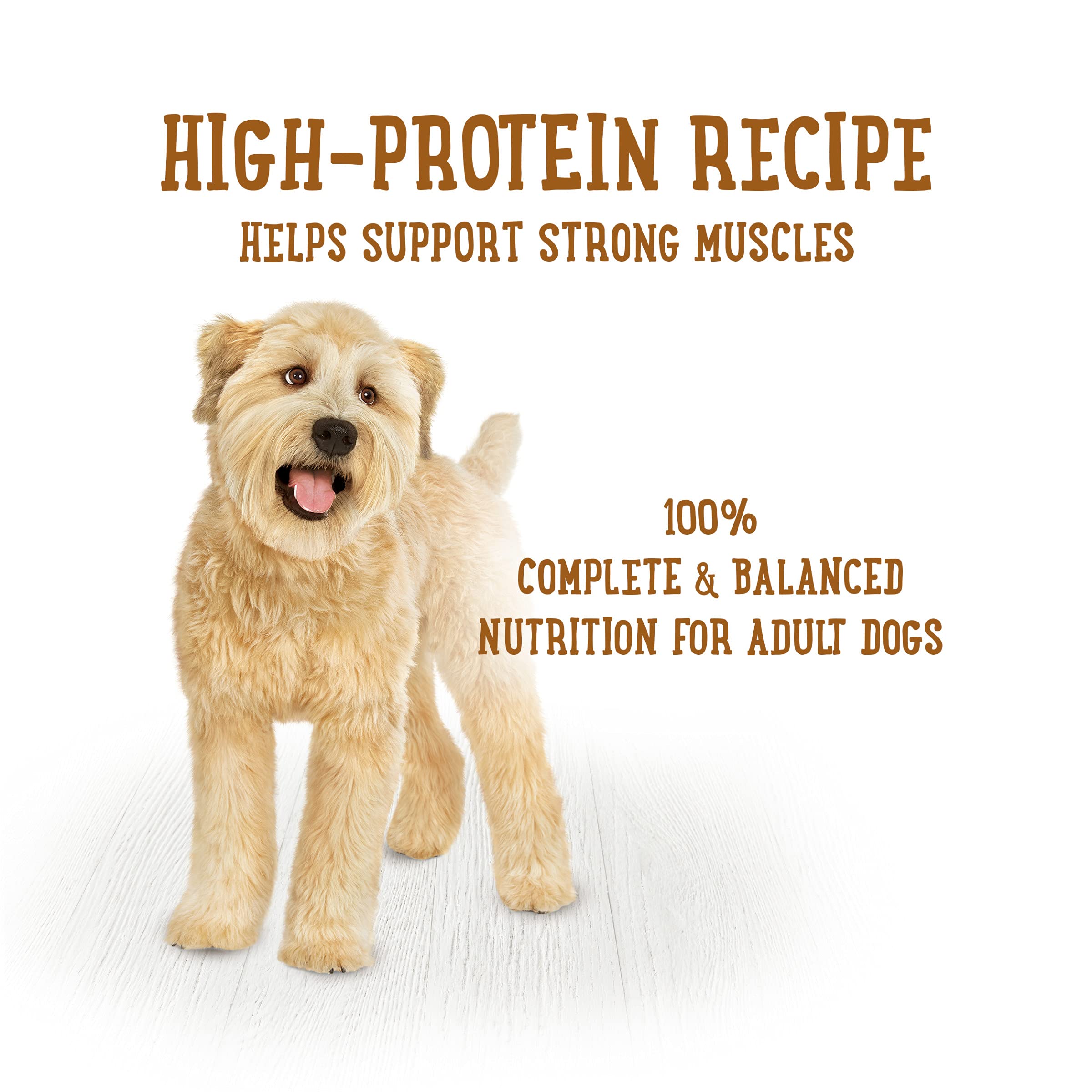 Purina Beneful Gravy Wet Dog Food, Prepared Meals Beef Stew - (8) 10 oz. Tubs
