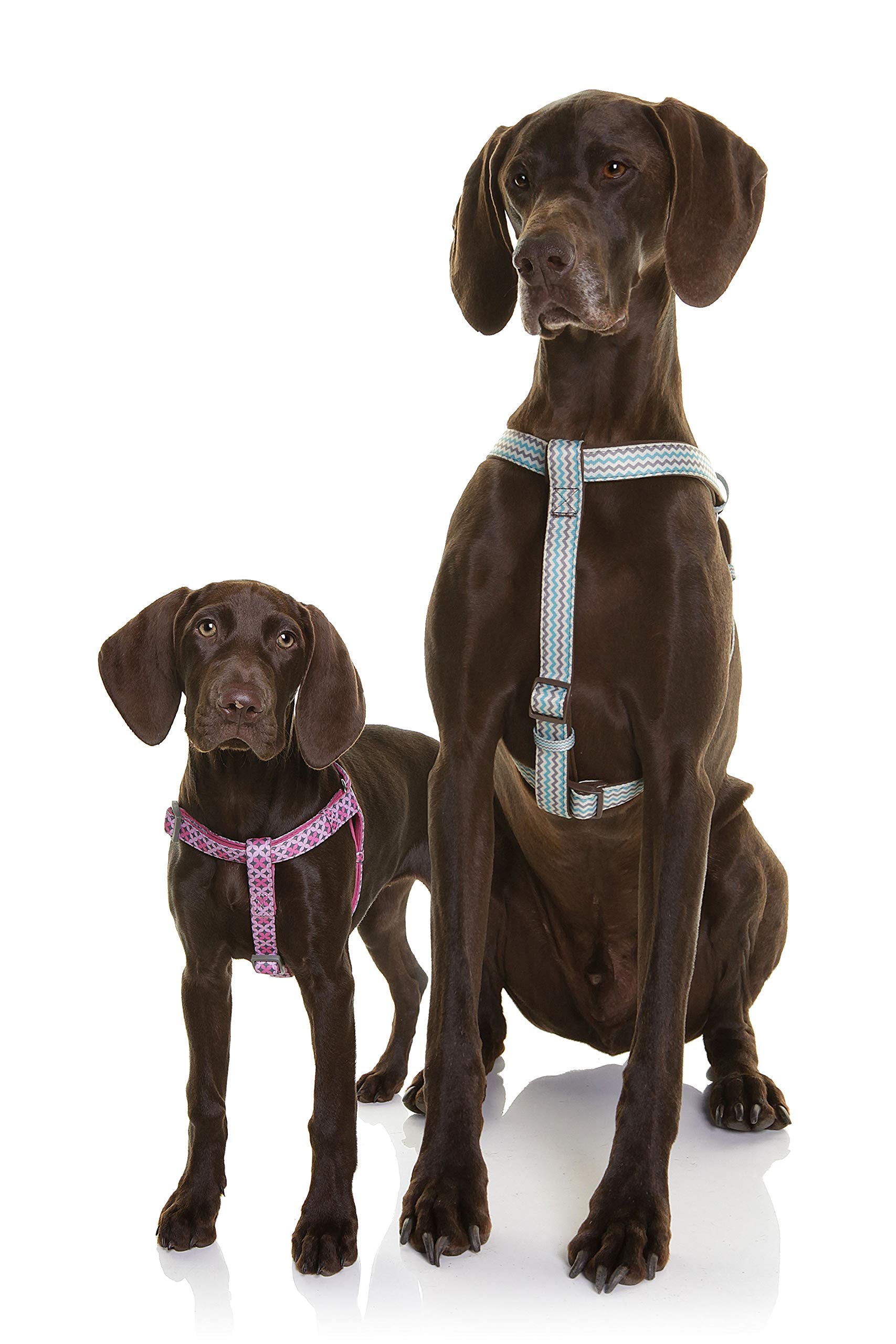 Doog - Step In Harness Toto (Small), Harpbs-S