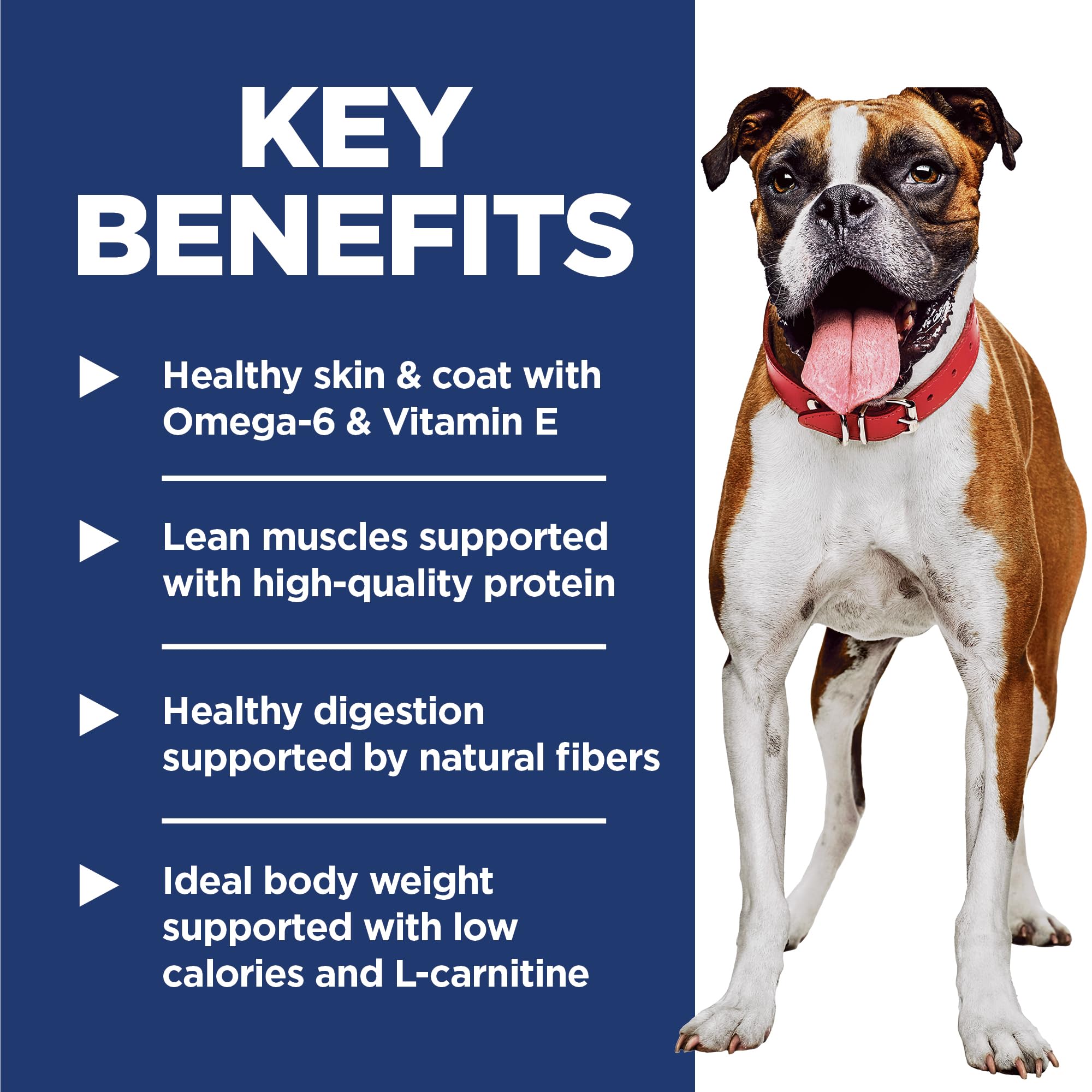 Hills Science Diet Adult Light Chicken Meal & Barley Dry Dog Food, 15 lbs.
