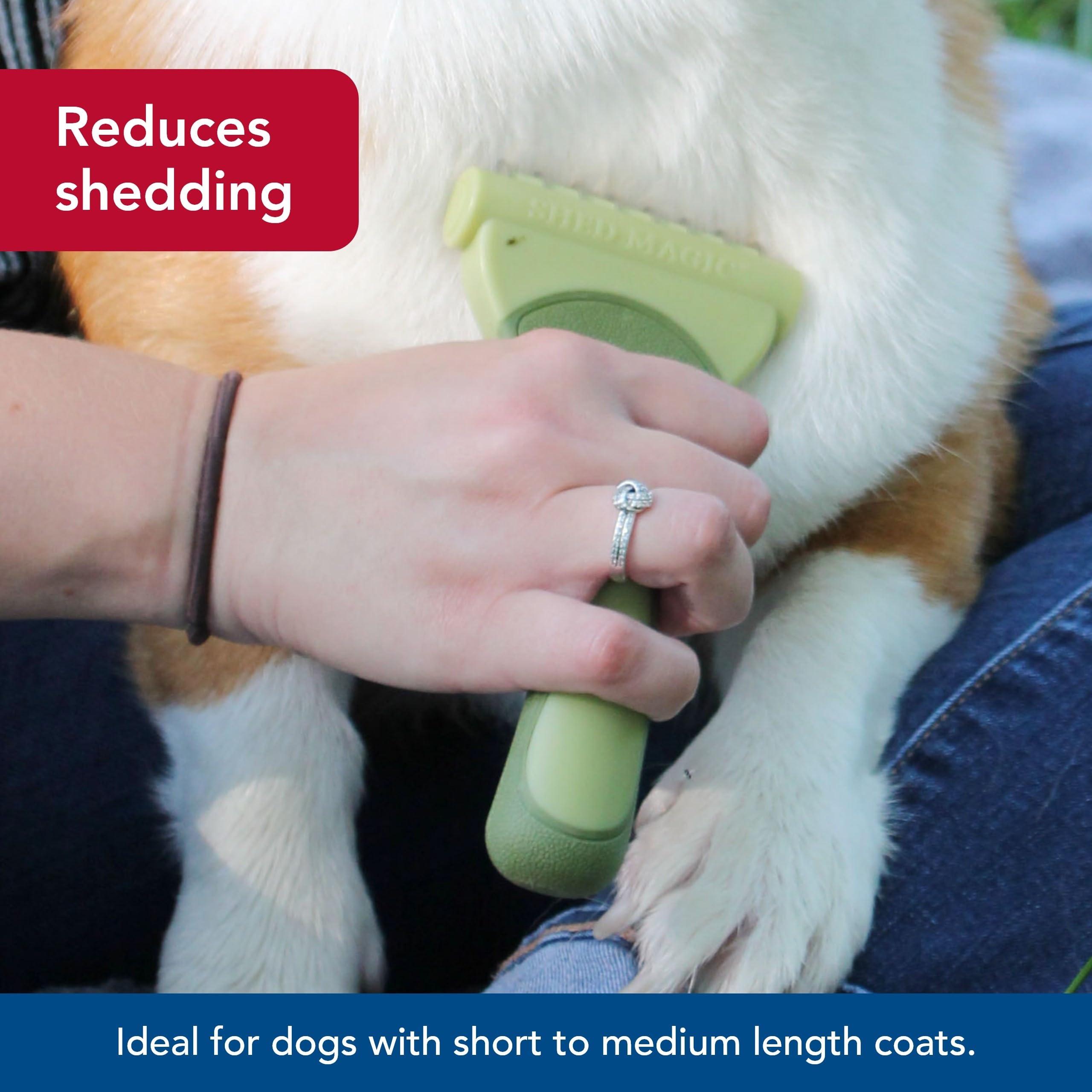 Coastal Pet - Safari - Shed Magic De-Shedding Tool for Dogs with Short to Medium Hair, No Color, Medium (6.25'' L x 3.5'' W)