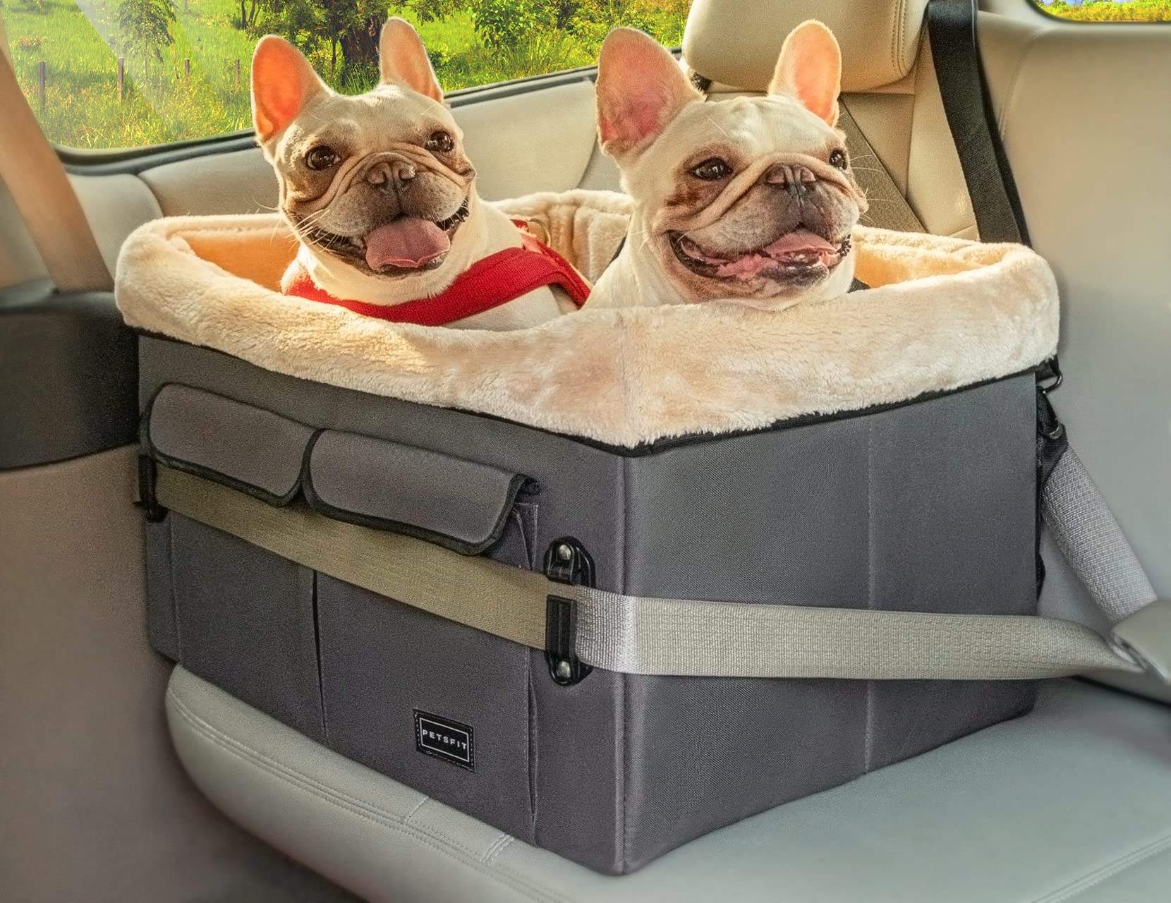Petsfit Dog Car Seat For Medium Dogs Or 2 Small Dogs, Upgraded Dog Booster Seat For Front And Back Seats With 2 Safety Leashes (