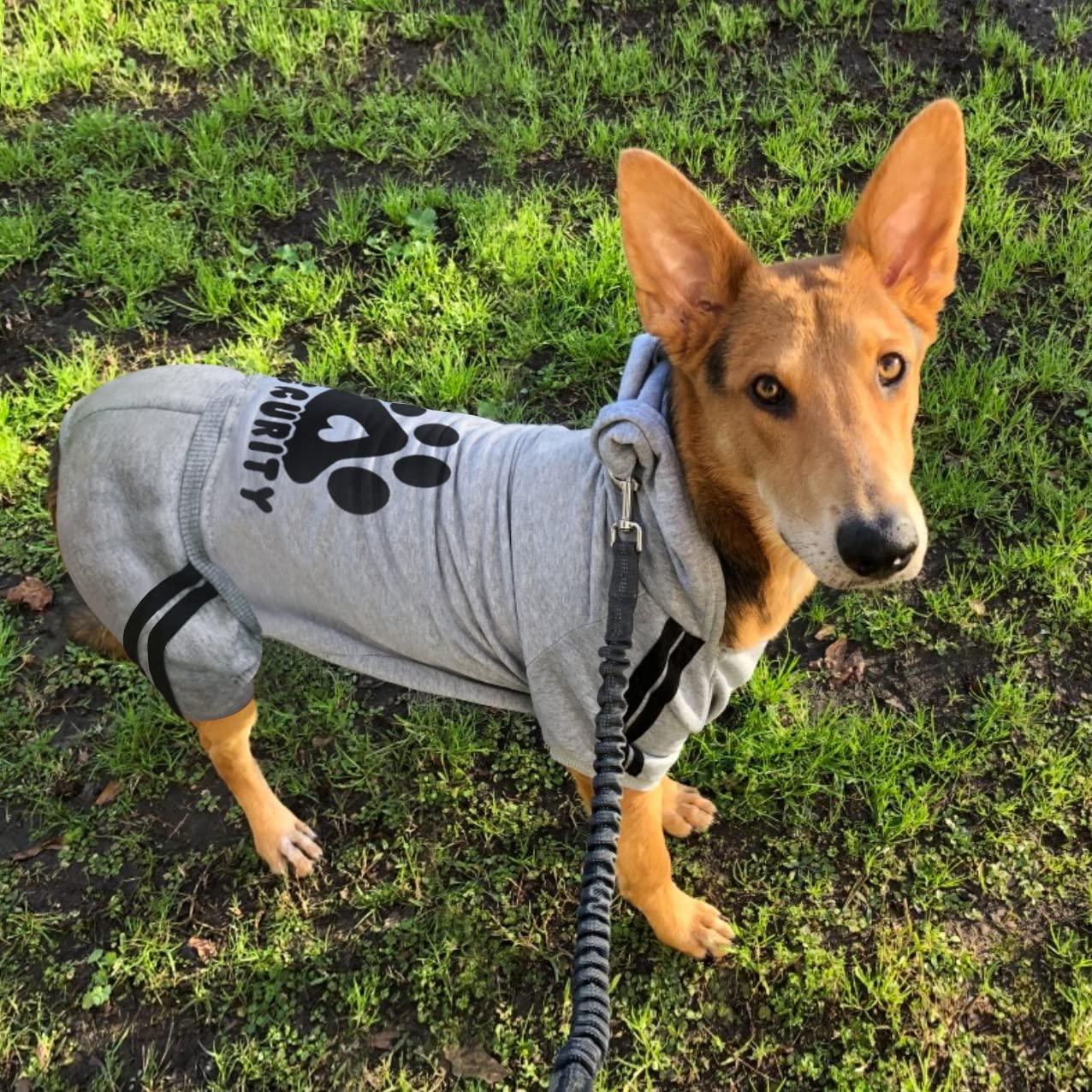 Otunrues Dog Hoodies, Pet Dog Clothes Pullover 4 Legs Jumpsuit Sweatshirt Security Patterns Outfit Doggie Winter Coat Cotton Puppy Hoodied For Small Medium Large Dogs Cats(Gray,Xs)