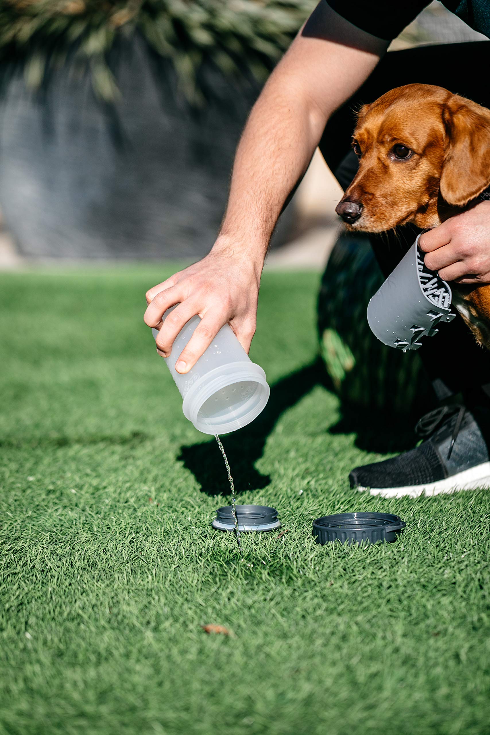 Dexas Lidded Mudbuster Portable Dog Paw Cleaner, Light Gray, Large With Lid
