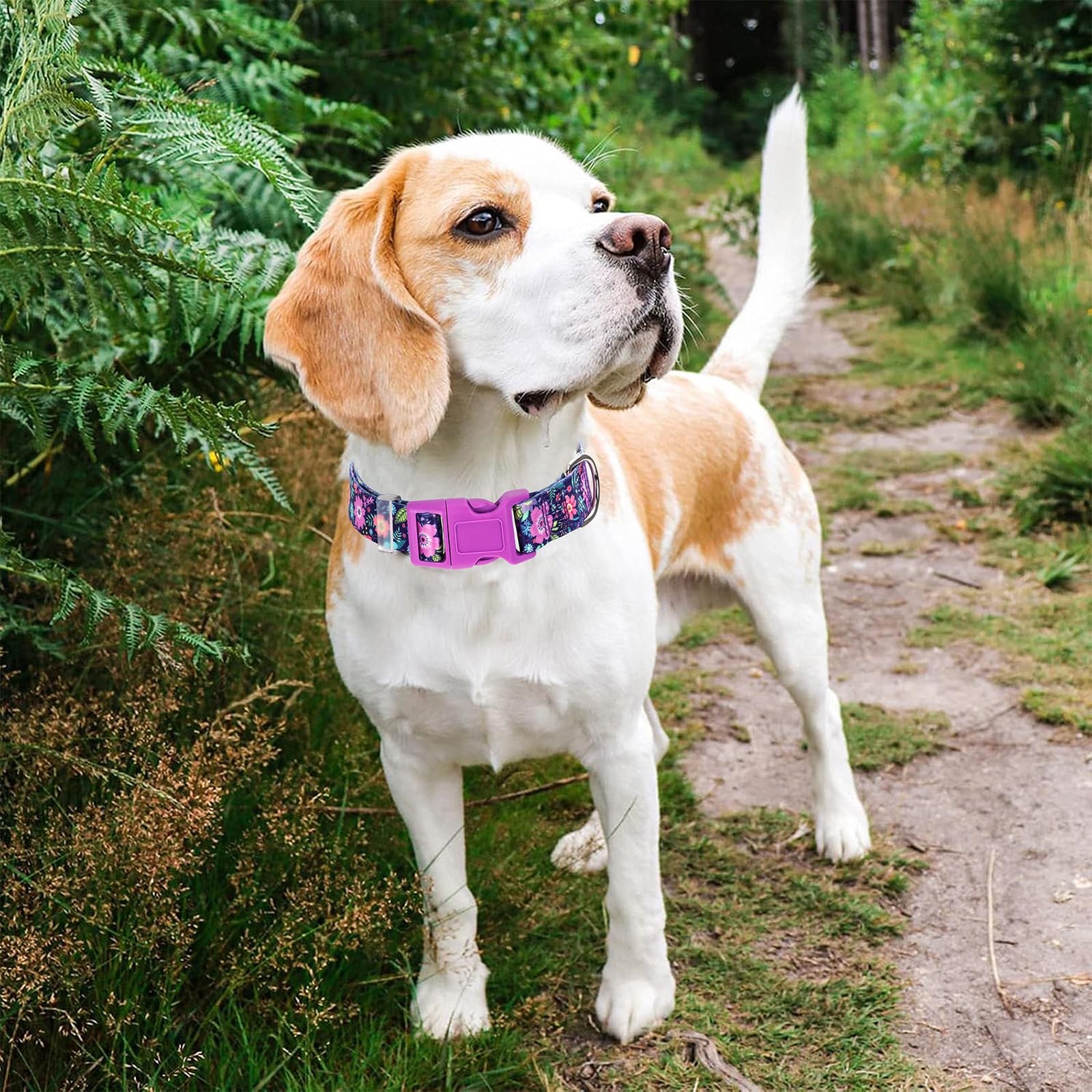 Dog Collars For Medium Dogs,Cute Girl Dog Collar With Boho Flowers Patterns,Adjustable Comfy Soft Durable Pet Collar For Small M