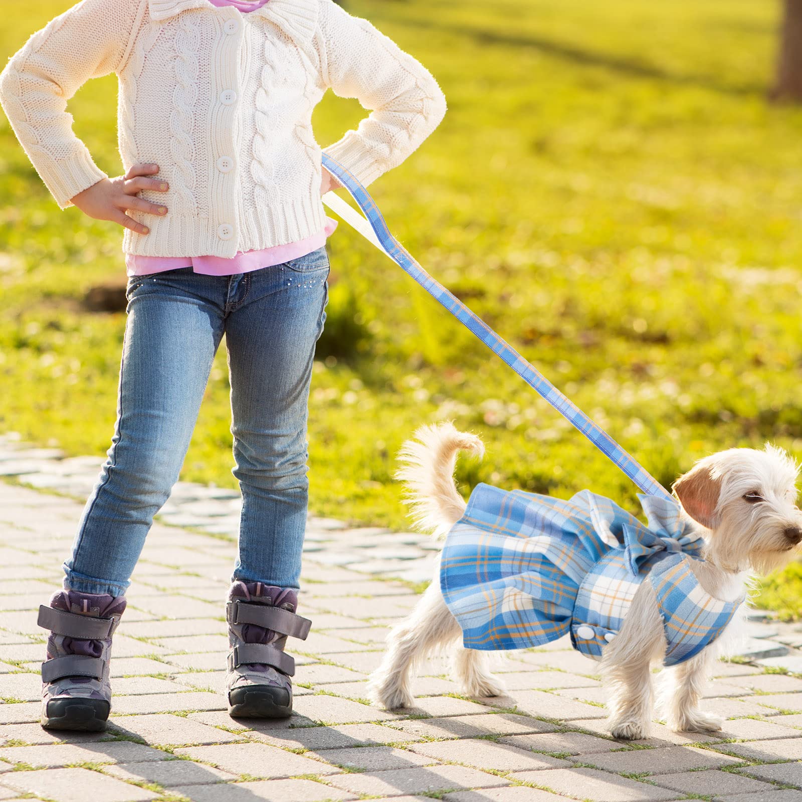 Potchen 4 Pcs Plaid Dog Dress Bow Tie Harness Leash Set Harness Dress For Small Dogs Cute Dog Pet Girl Puppy Summer Clothes For Female Summer Bunny Rabbit Clothes Yorkie Chihuahua Training Walking (S)